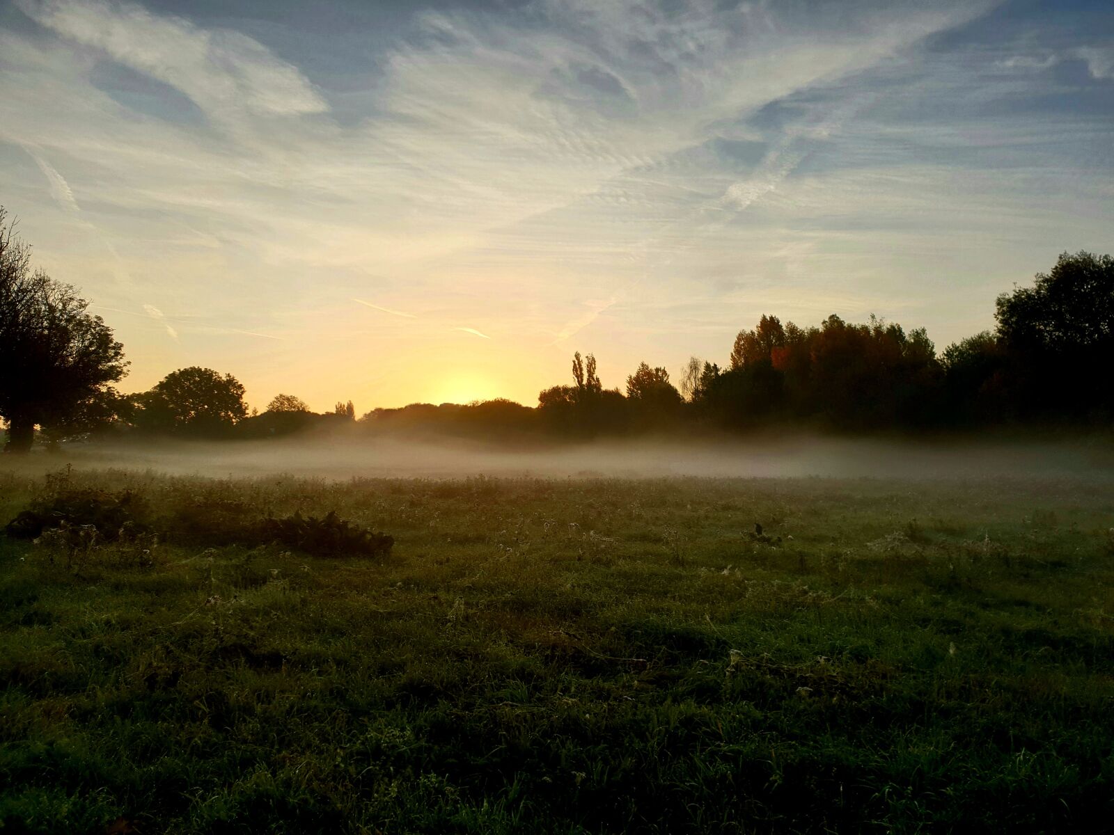 Samsung Galaxy S9 sample photo. In addition to, field photography