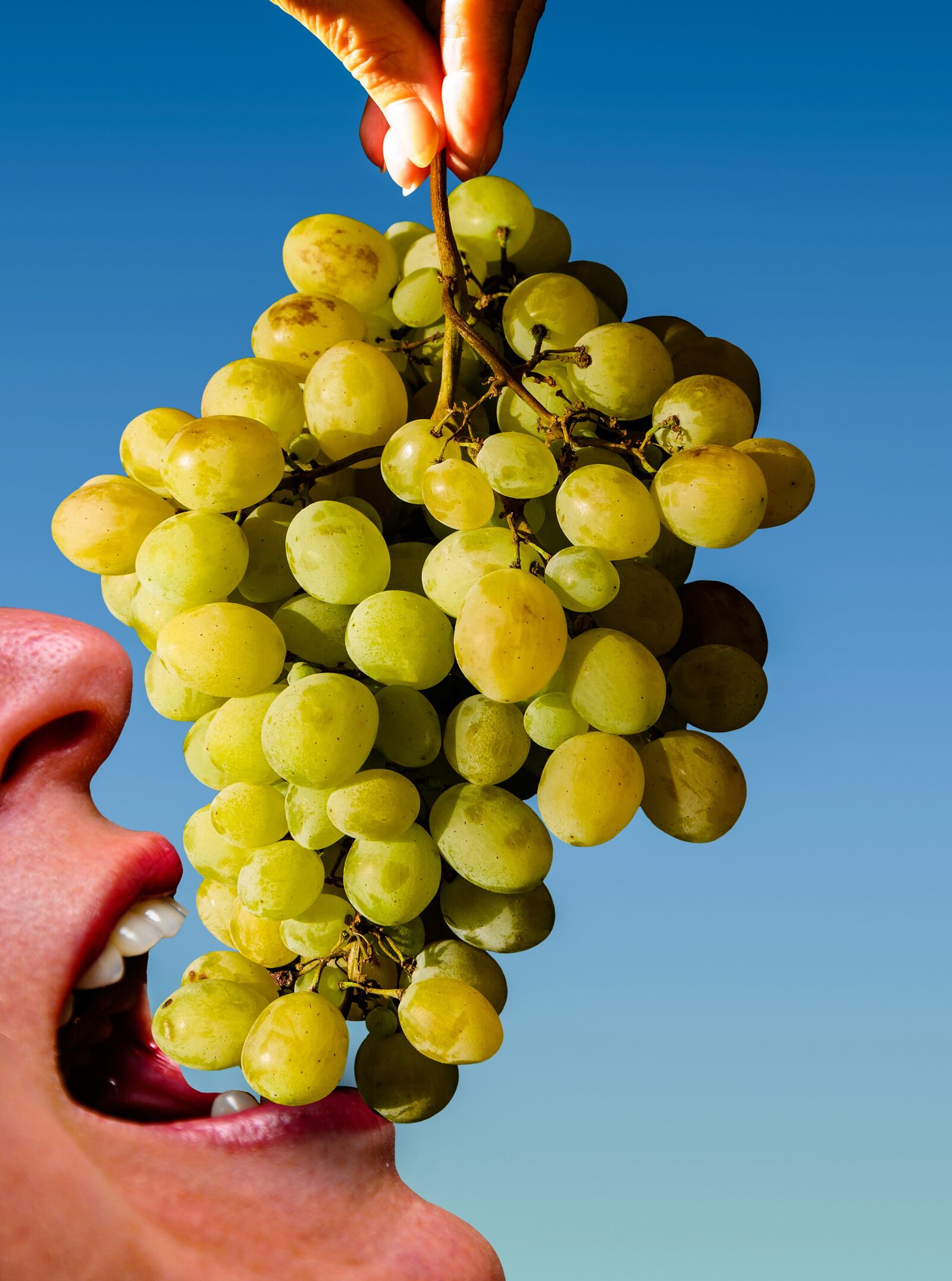 Panasonic DMC-G70 sample photo. Grapes, eat, fruit photography