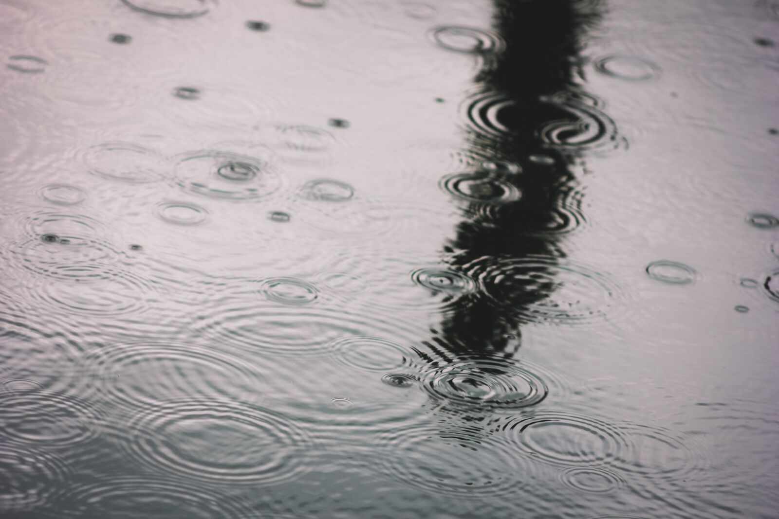 Canon EF75-300mm f/4-5.6 sample photo. Rain, water, nature photography