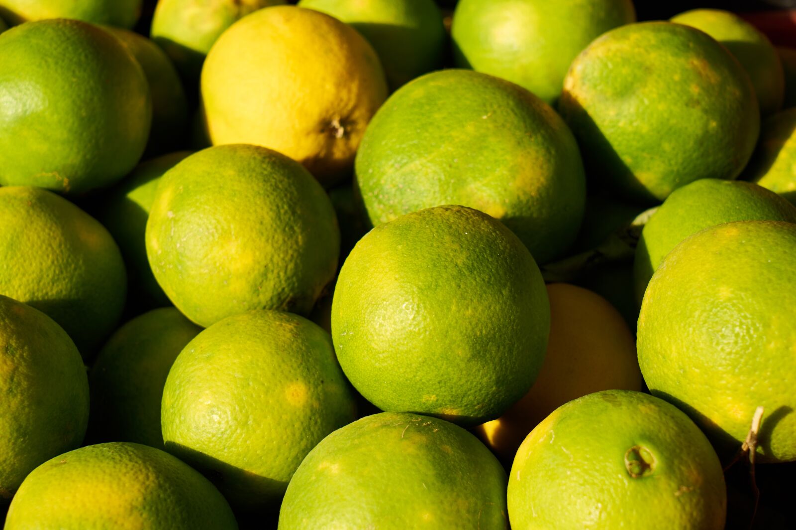 Sony a7R II sample photo. Tangerine, green, lemon photography