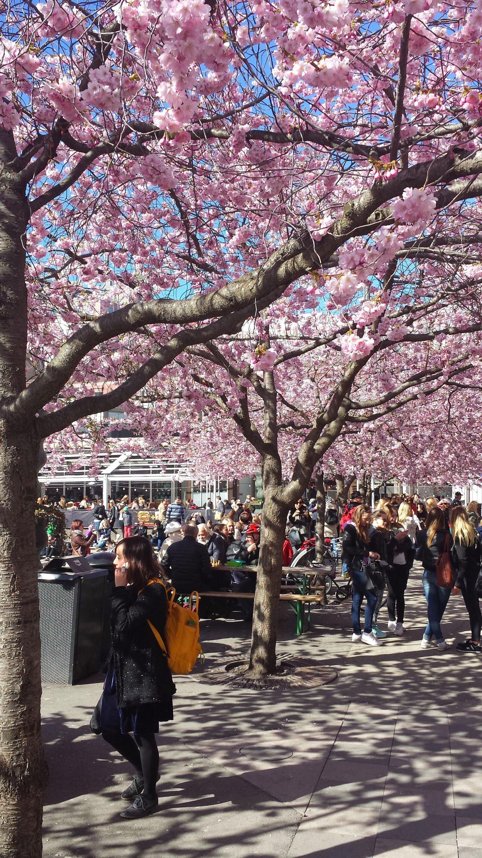 Samsung Galaxy S4 sample photo. Sweden, stockholm, kungstr dg photography