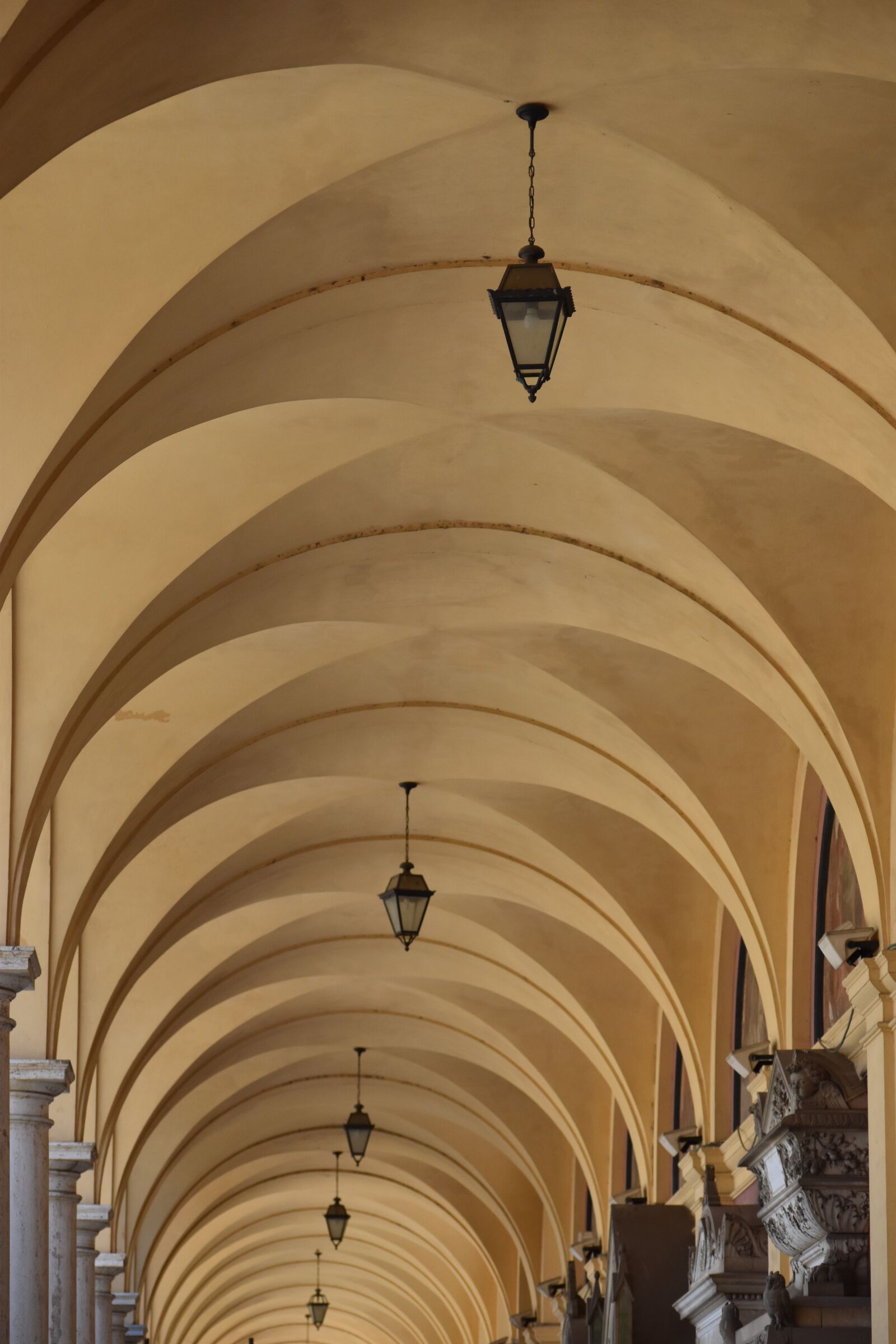Nikon D5500 sample photo. Architecture, ceiling, vault photography