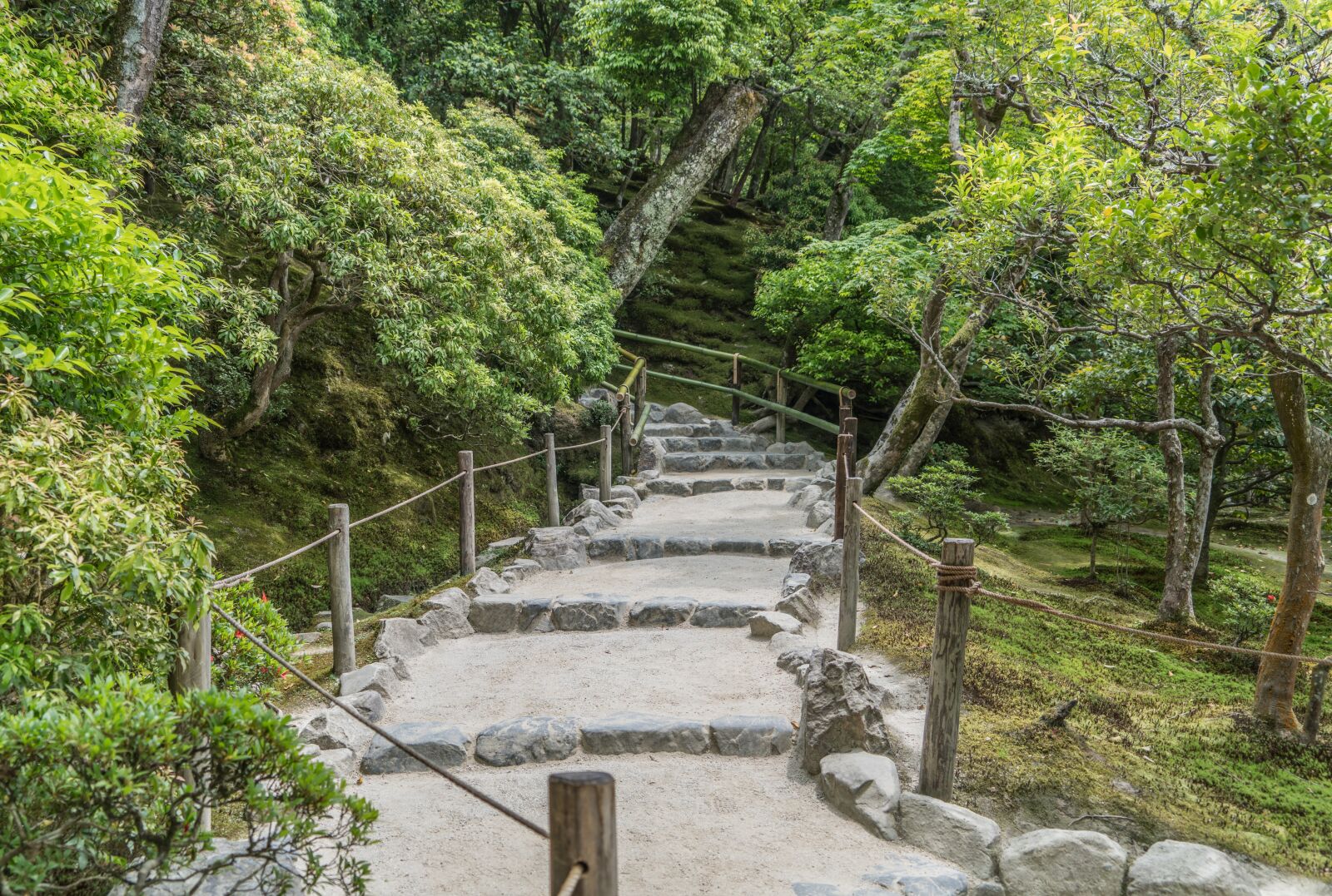 Sony a7R II + Sony FE 24-240mm F3.5-6.3 OSS sample photo. Stone path, stairs, forest photography
