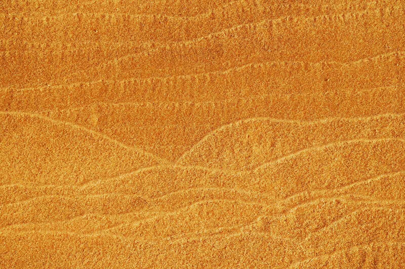 Nikon D80 sample photo. Texture, background, sand photography