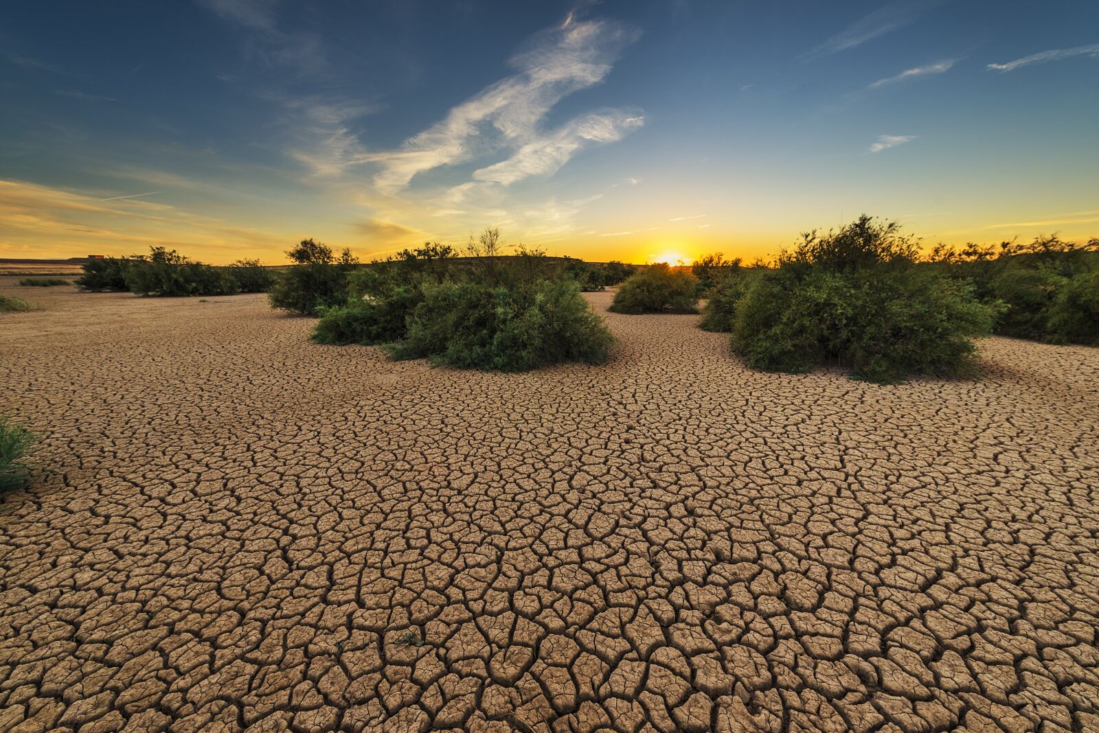 Nikon D750 sample photo. Drought, dehydrated, clay floor photography