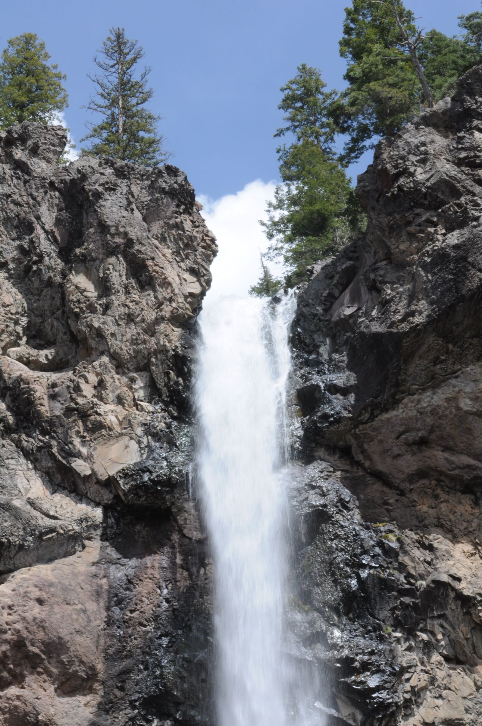 Nikon D90 sample photo. Waterfall, pine tree, scenery photography