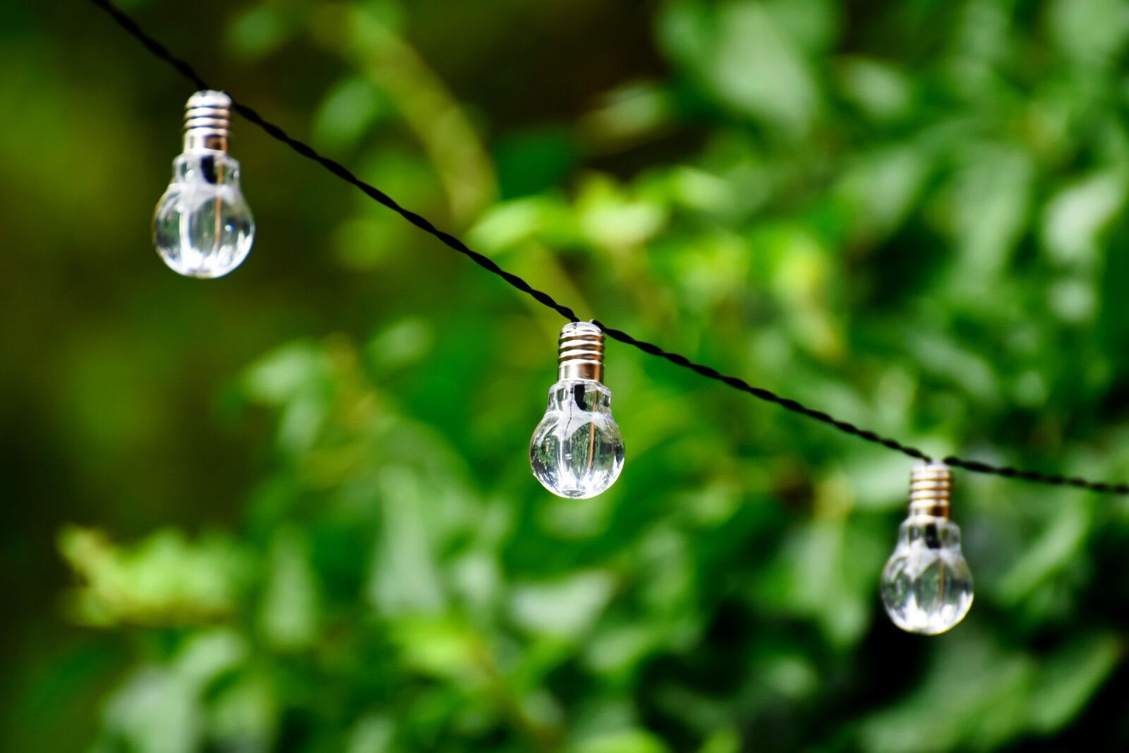 Nikon D7200 sample photo. Light bulb, energy, nature photography