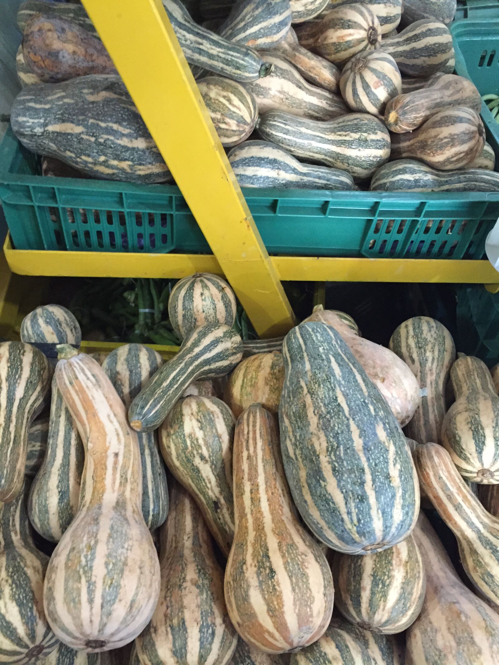 Apple iPhone 6 sample photo
