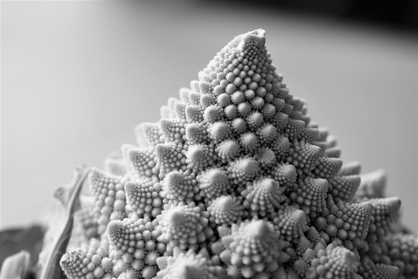 Nikon D5500 sample photo. Romanesco, vegetables, cauliflower photography