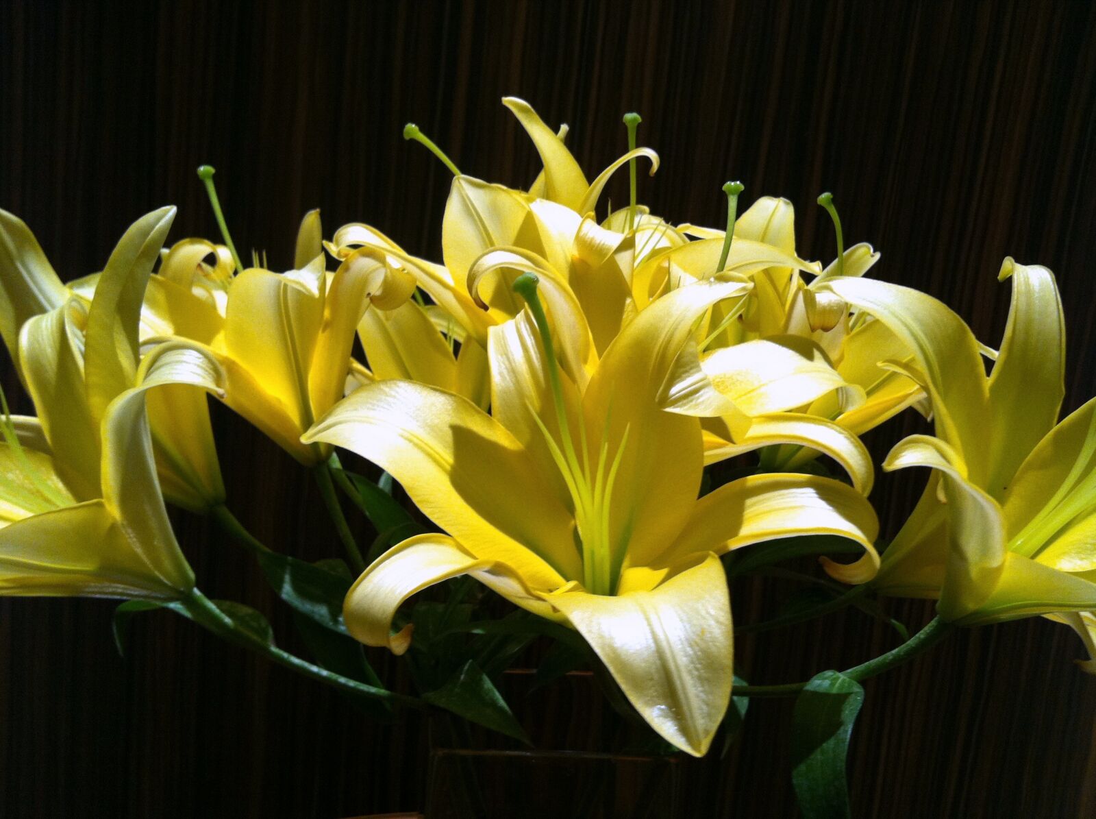 Apple iPhone 4 sample photo. Lilies, white, dark photography