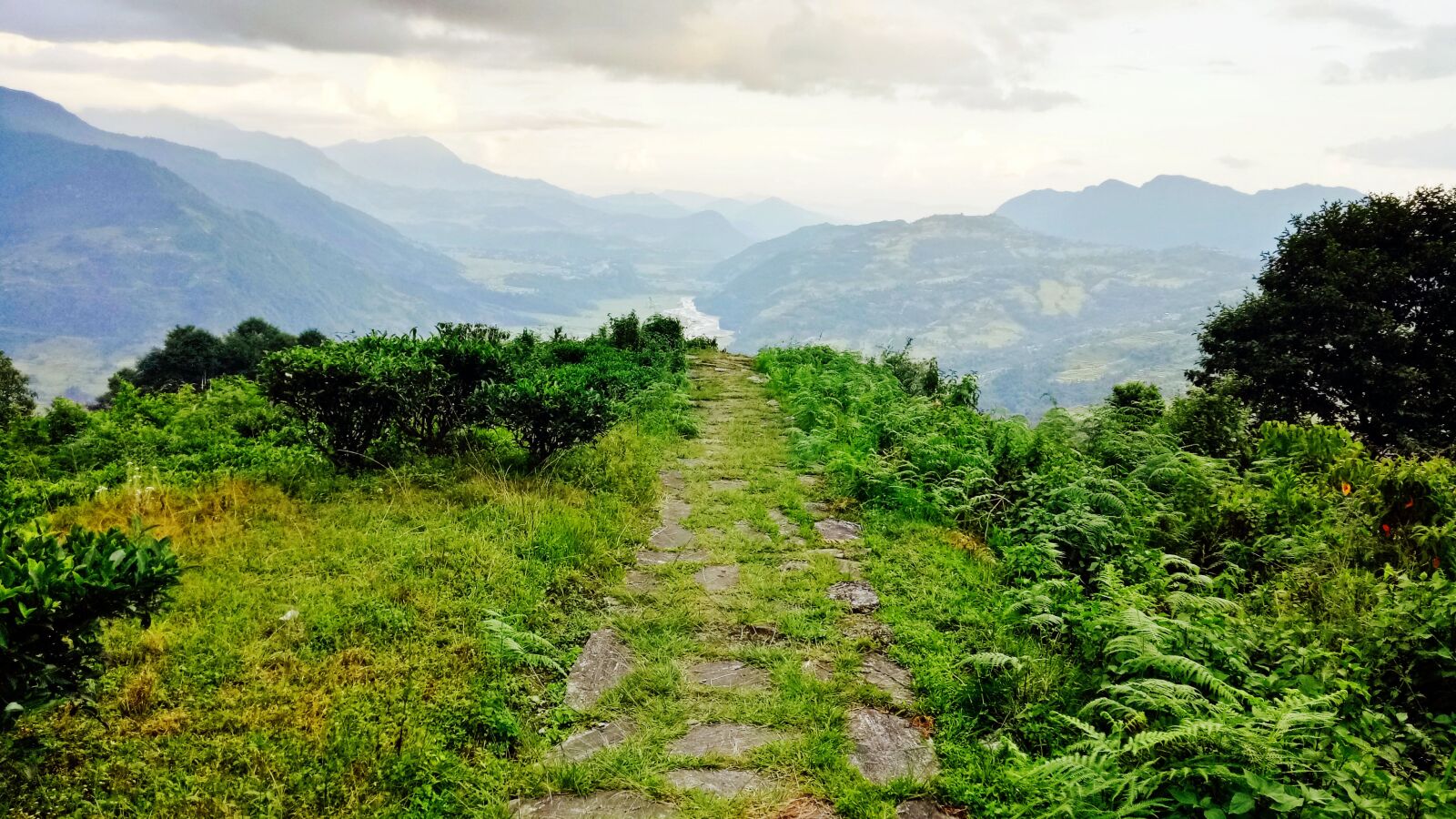 OPPO A1601 sample photo. Nepal, nature, pokhara photography