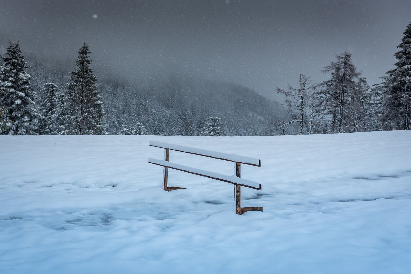 Nikon D750 sample photo. Black forest, winter mood photography