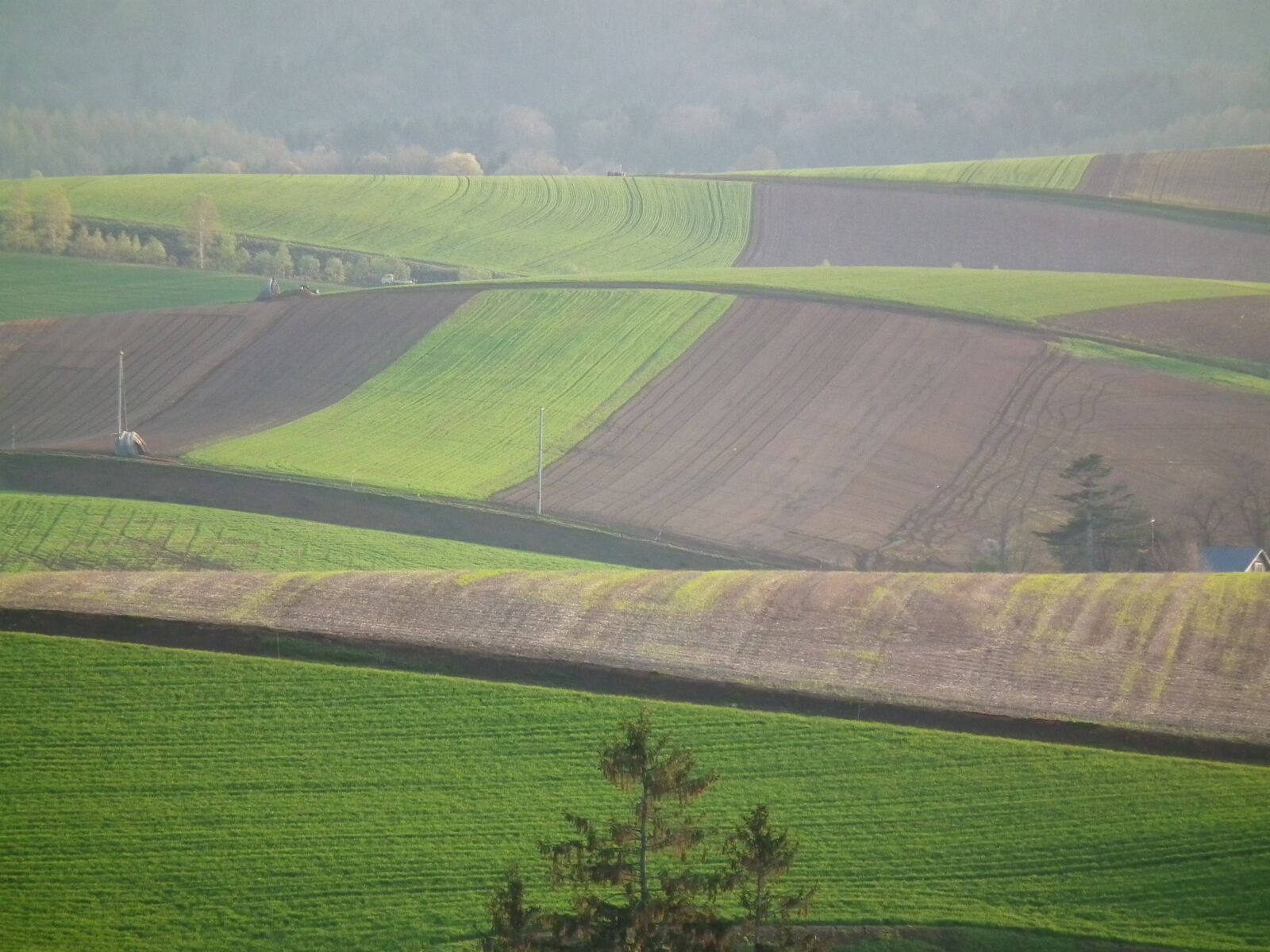 FujiFilm FinePix HS10 (FinePix HS11) sample photo. Spring, may, hokkaido photography
