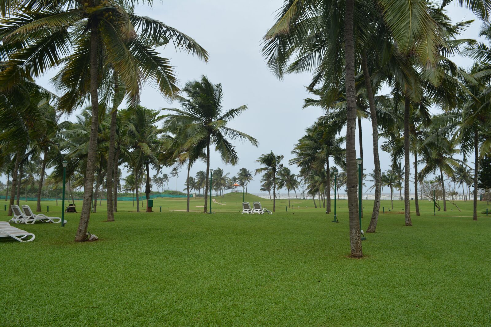 Nikon D5200 sample photo. Golf course, beach, nature photography