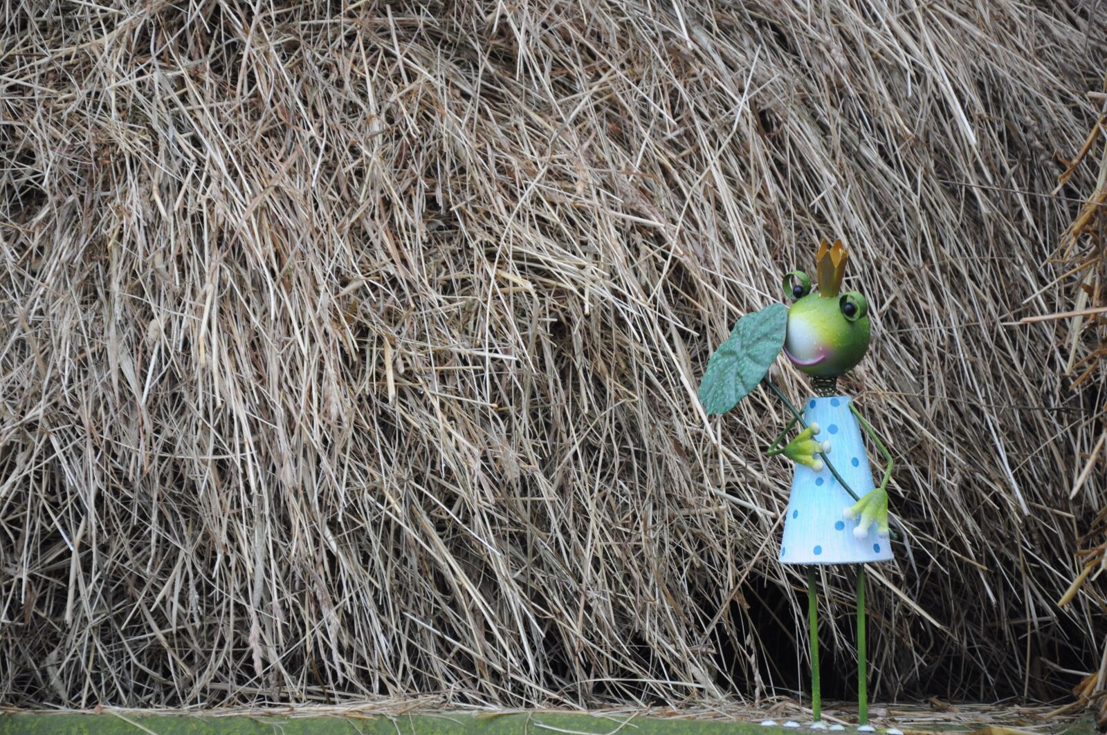 Nikon D5000 sample photo. Straw, frog, small photography