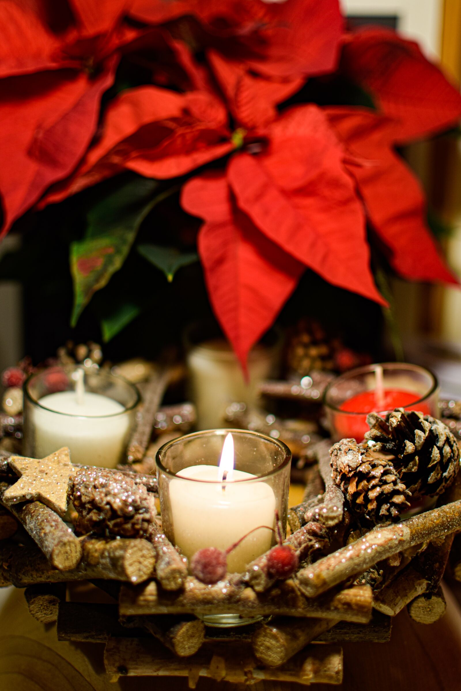 Nikon D5300 sample photo. Advent, christmas, love photography