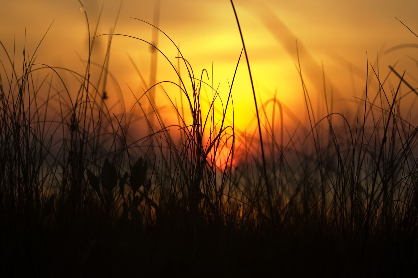 Nikon D70 sample photo. Sunset, sunrise, beach photography