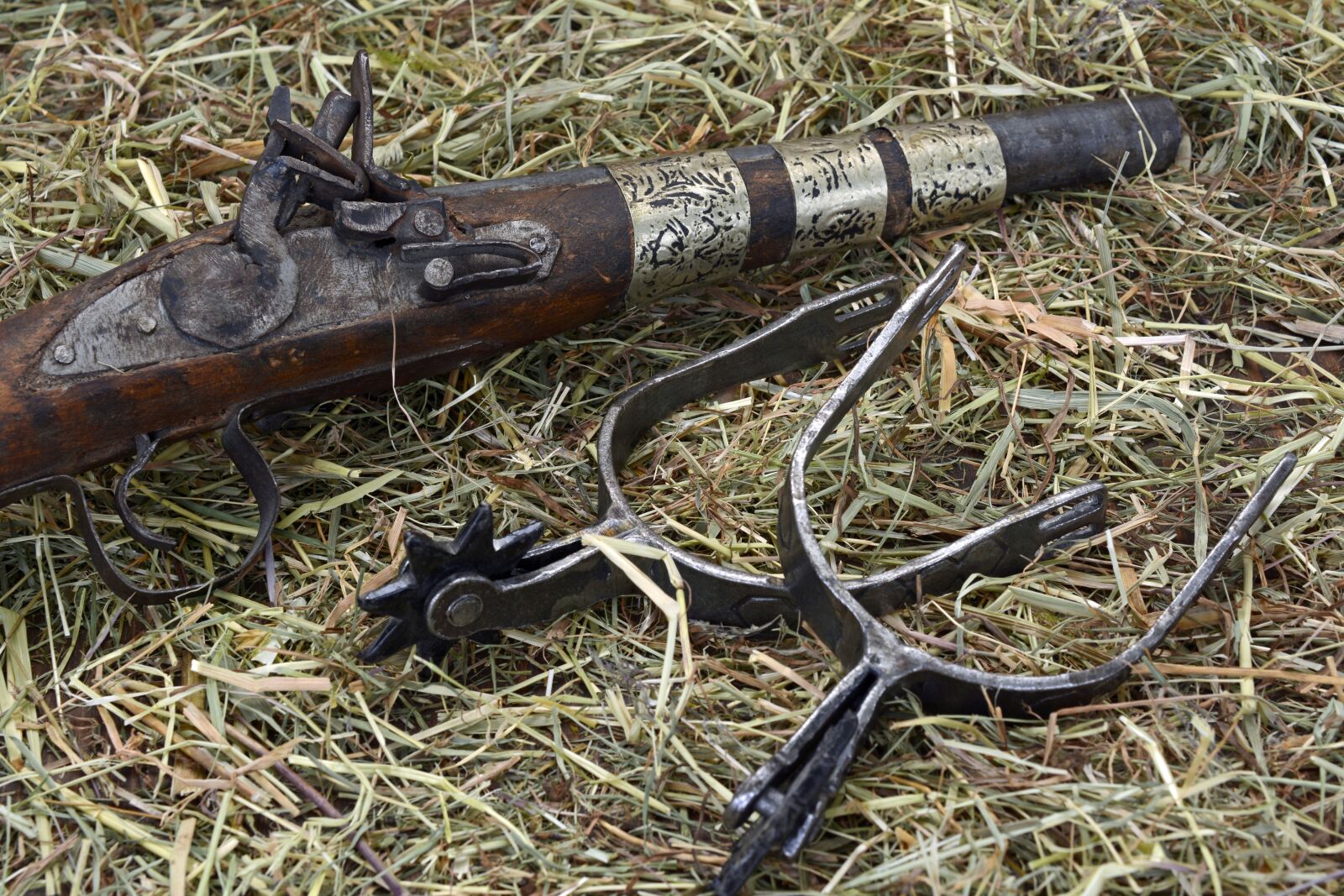 Nikon D7100 sample photo. Pistol, spores, hay photography