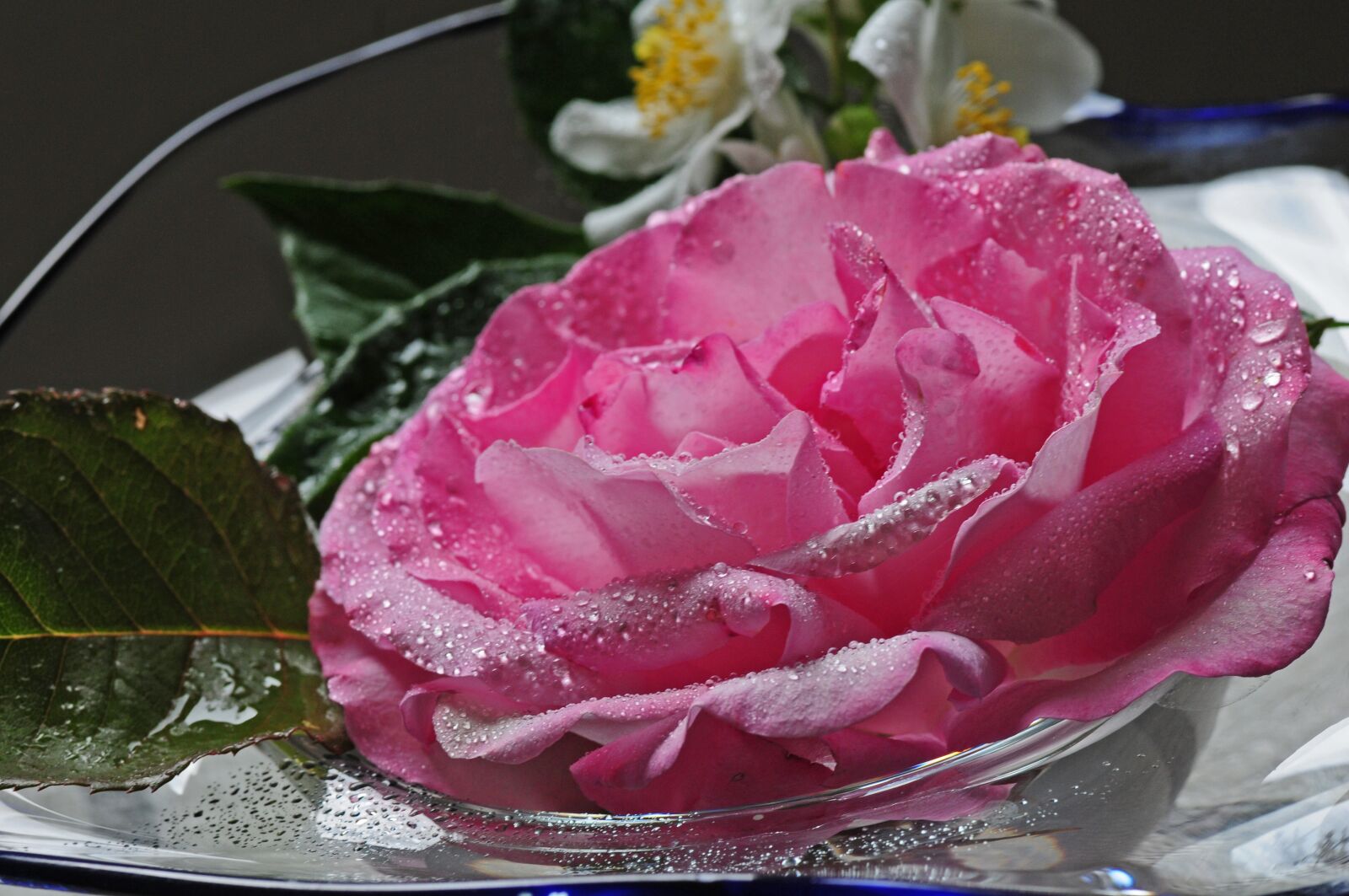 Nikon D300S sample photo. Rose, decoration, romantic photography