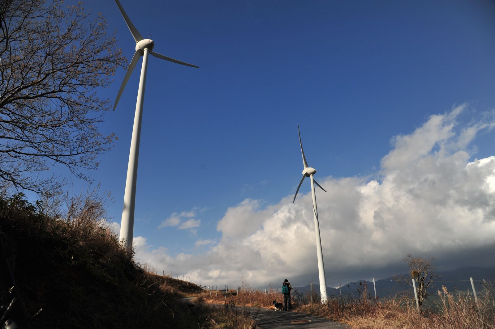 Nikon D700 sample photo. Wind turbine, sky, landscape photography