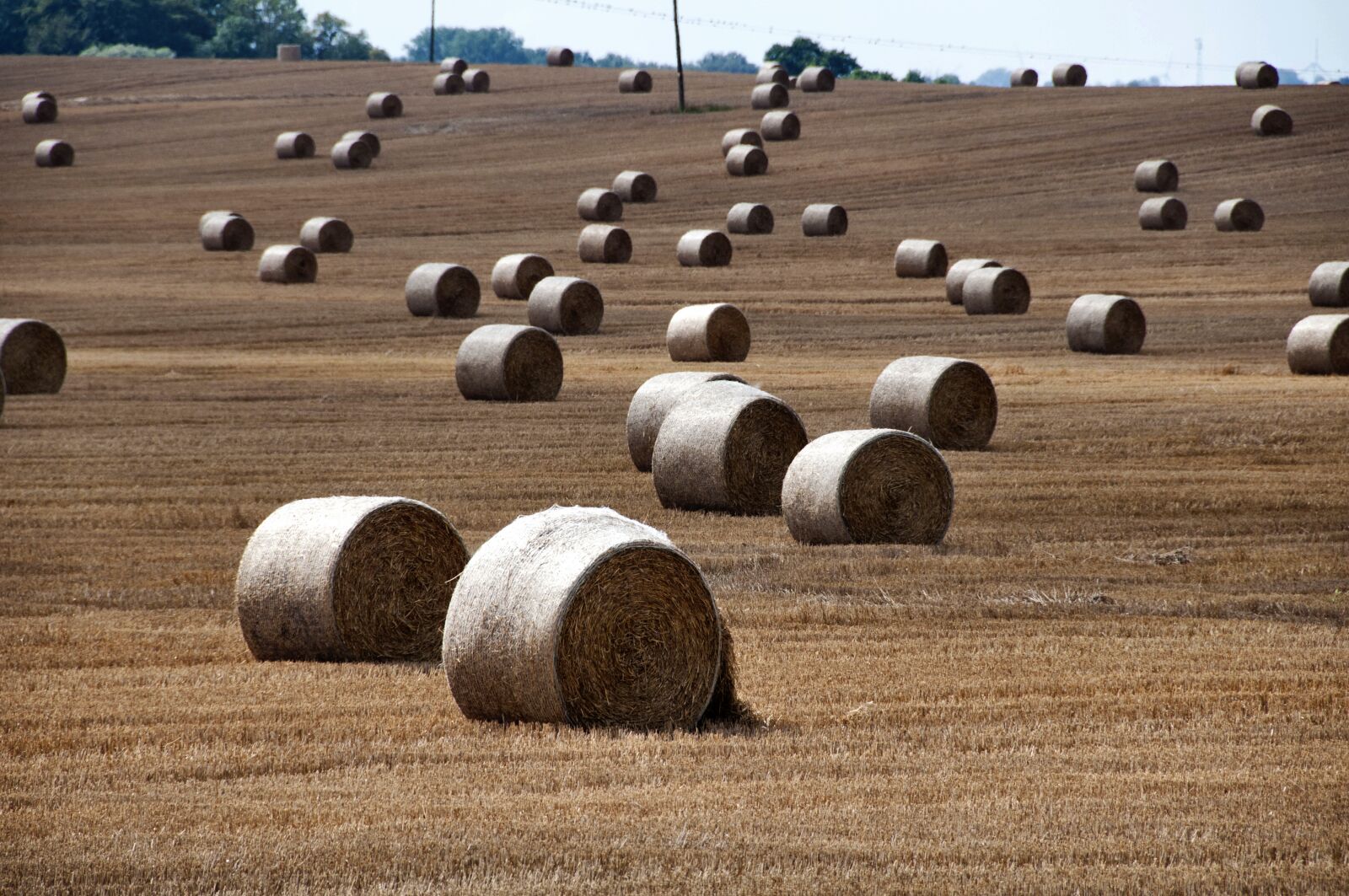 Nikon D300 sample photo. Harvest, field, landscape photography