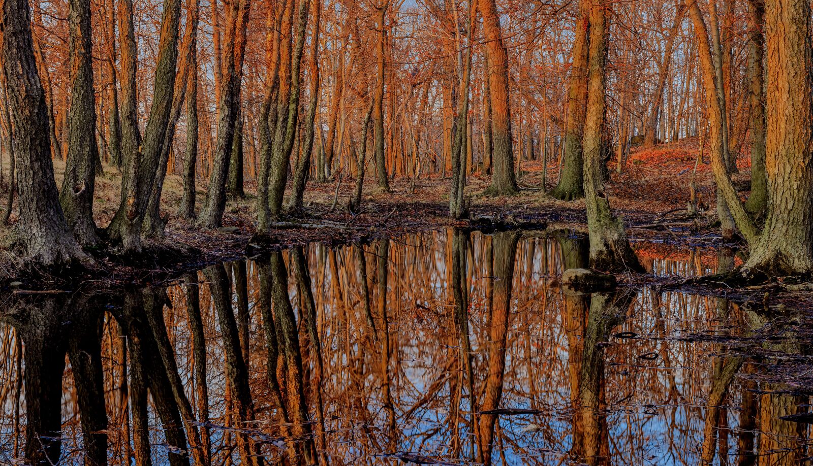 Canon EOS 7D sample photo. Forest, sunset, lake photography