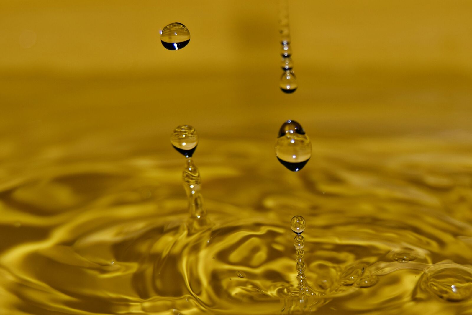 Nikon D3300 sample photo. Nature, water molecule, pearl photography
