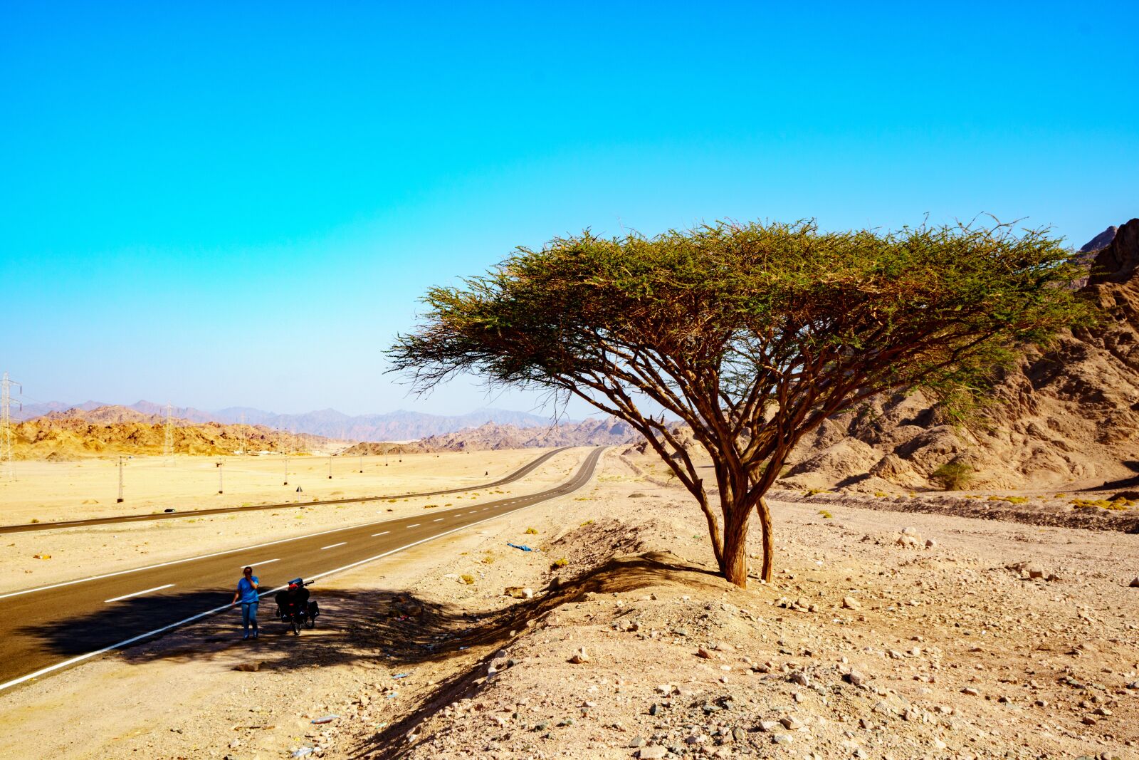 Sony a6500 + Sony Vario-Tessar T* E 16-70mm F4 ZA OSS sample photo. Nature, sand, travel photography