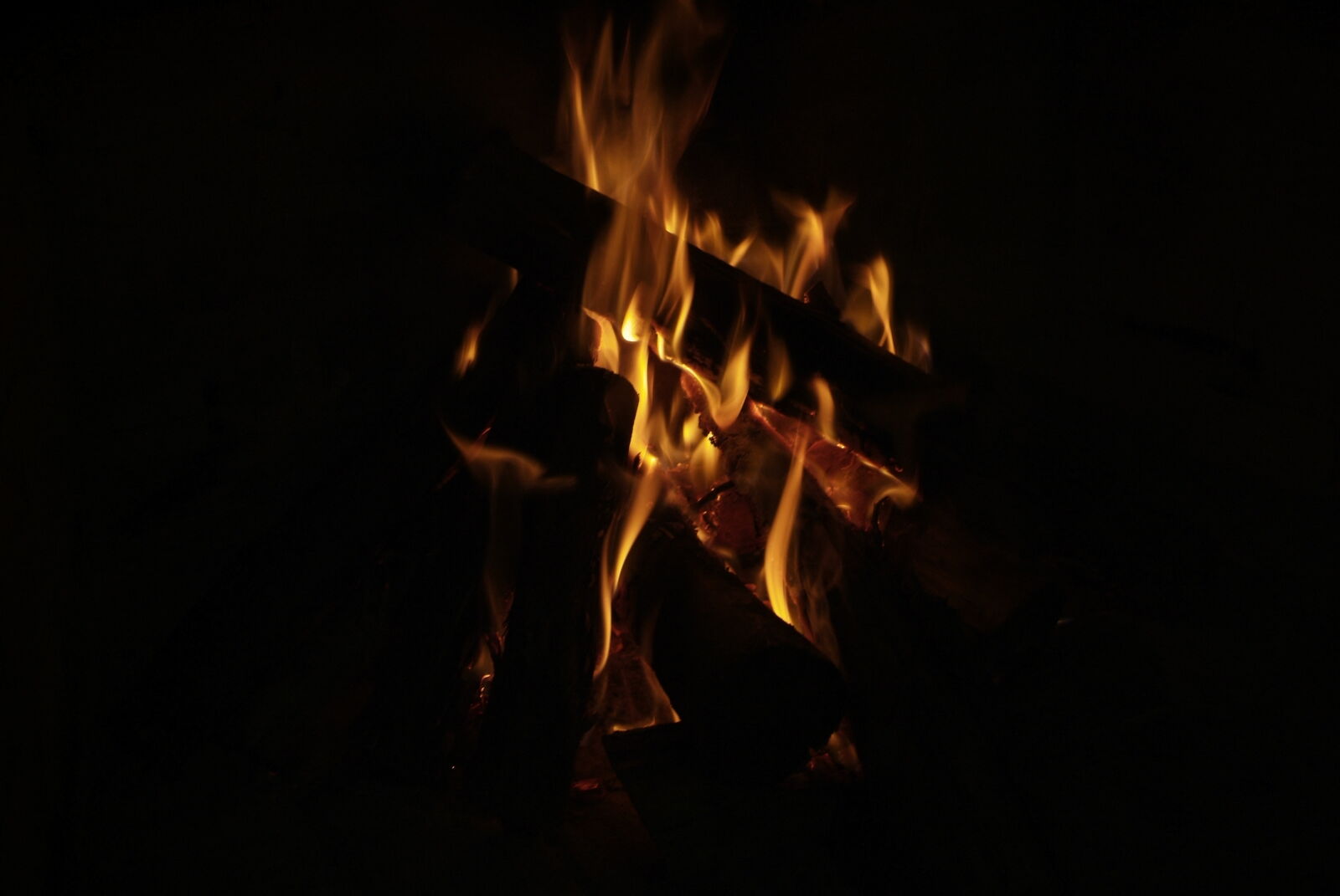 Fujifilm FinePix S3 Pro sample photo. Bonfire, fire photography