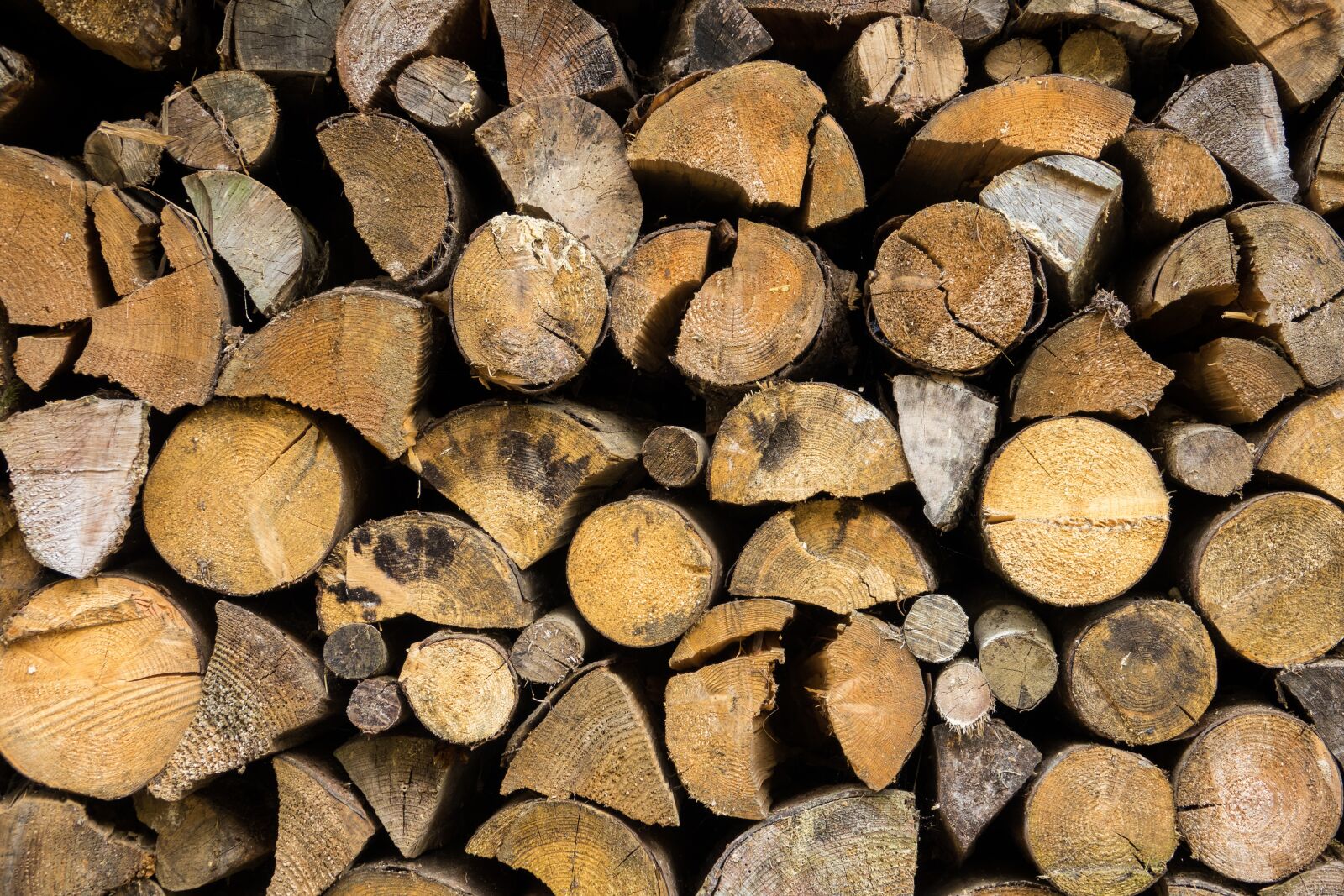 Sony Cyber-shot DSC-RX10 III sample photo. Wood, stacked, wood pile photography
