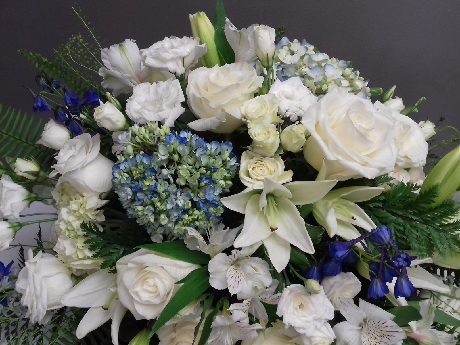 Samsung Galaxy J3(2016) sample photo. Blue flowers, sympathy, blue photography