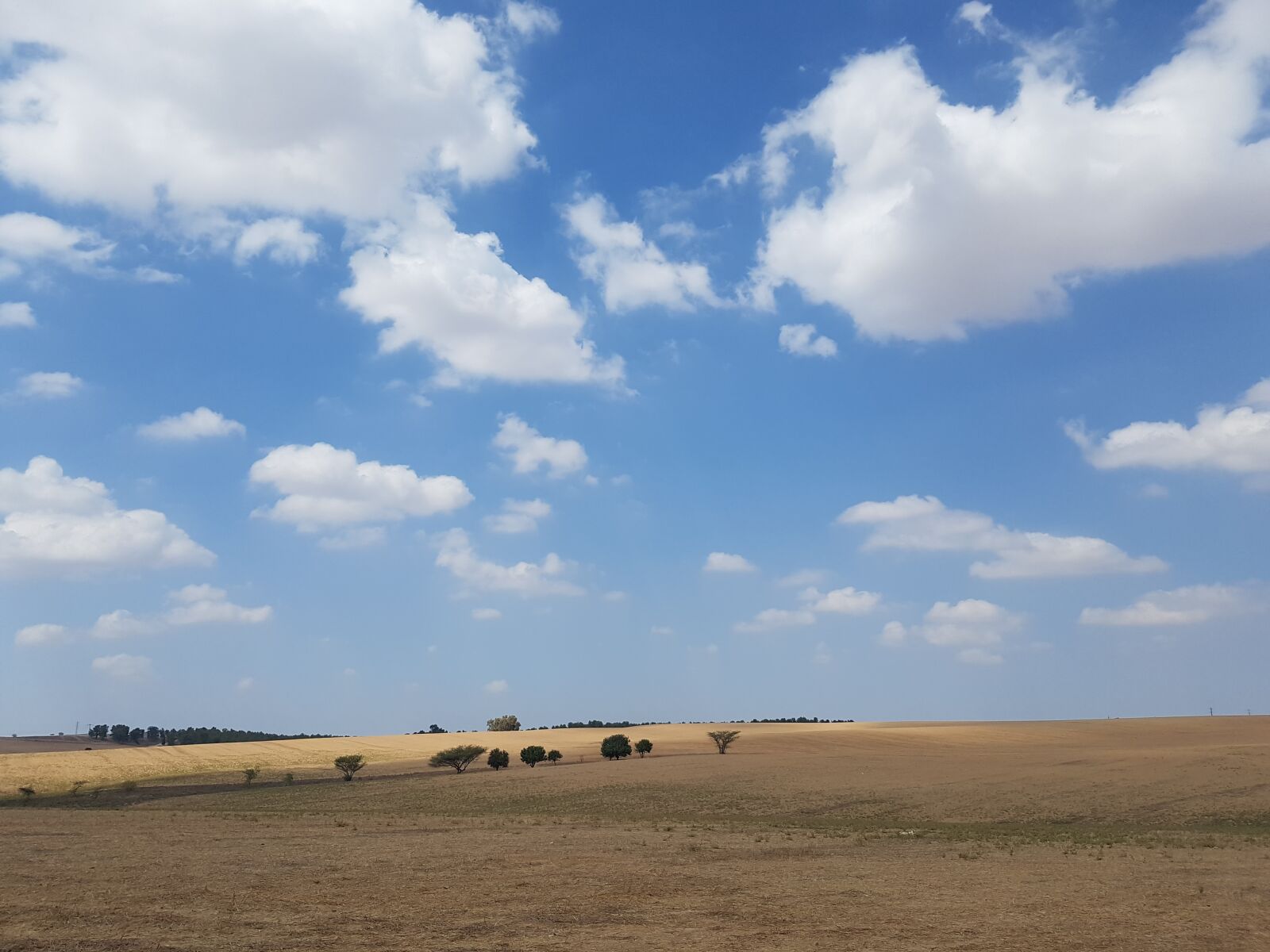 Samsung SM-G930F sample photo. Landscape, horizon, sky photography