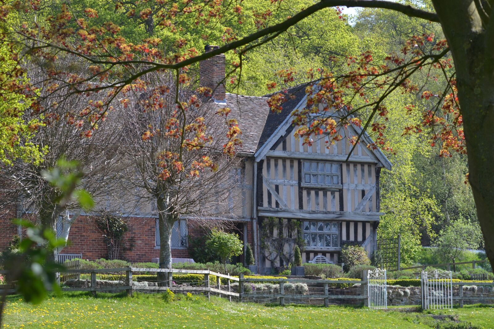 Nikon D3100 sample photo. England, tudor, historic photography