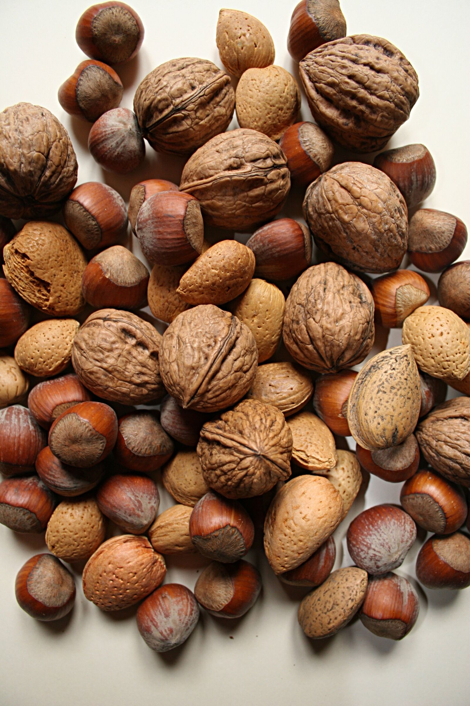 Canon EOS 20D sample photo. Nut, nuts, food photography