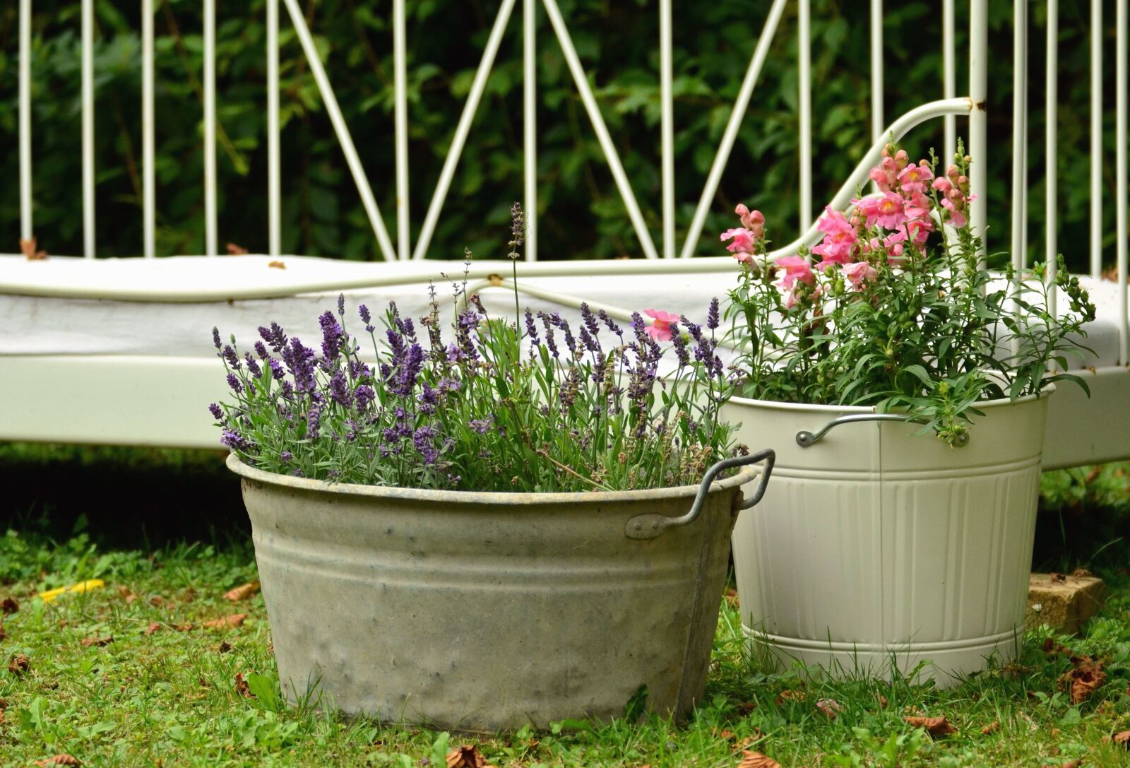 Nikon D5100 sample photo. Bucket, flower, grass, garden photography