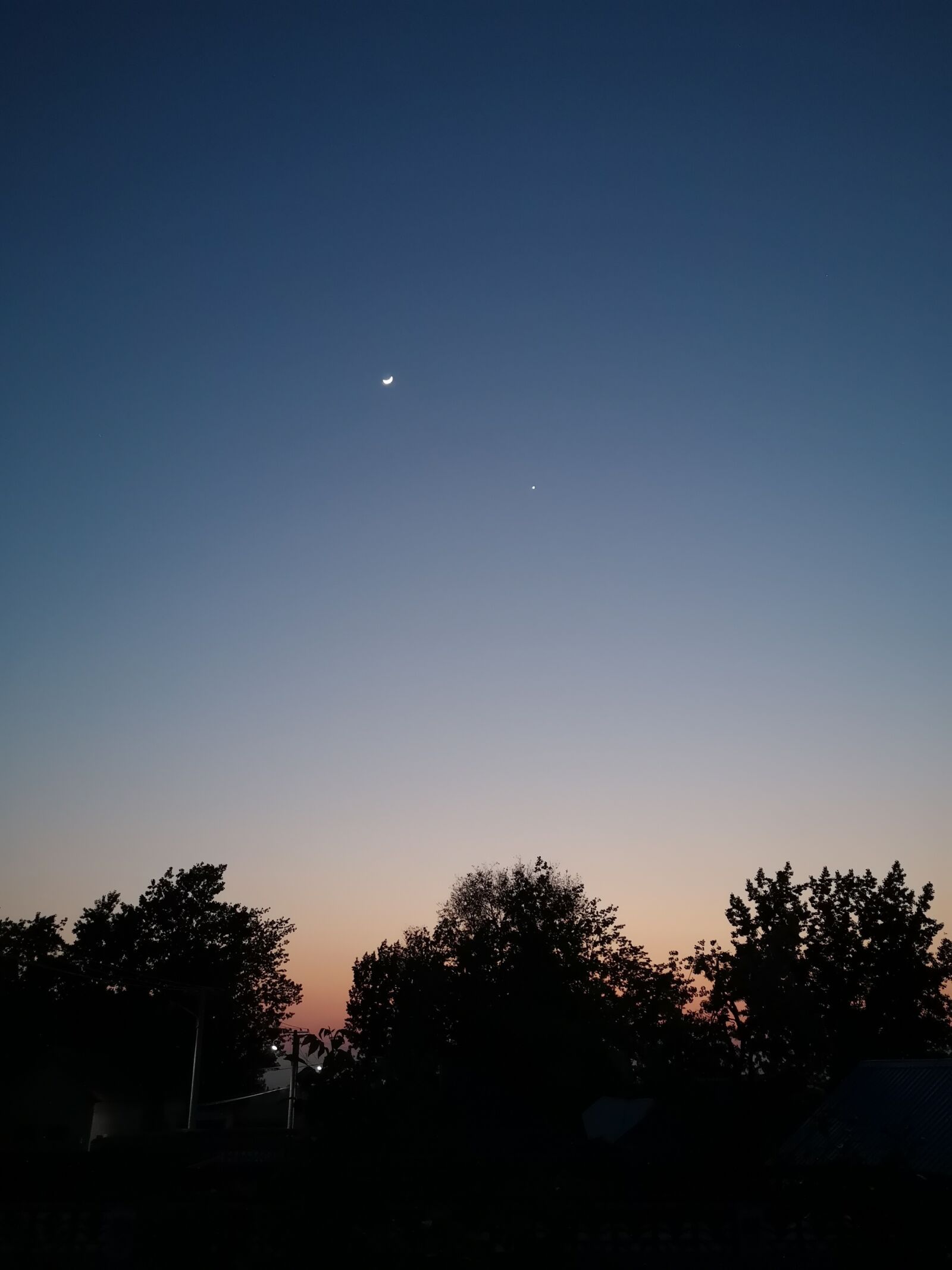 HUAWEI P20 sample photo. Gold, star, invited photography