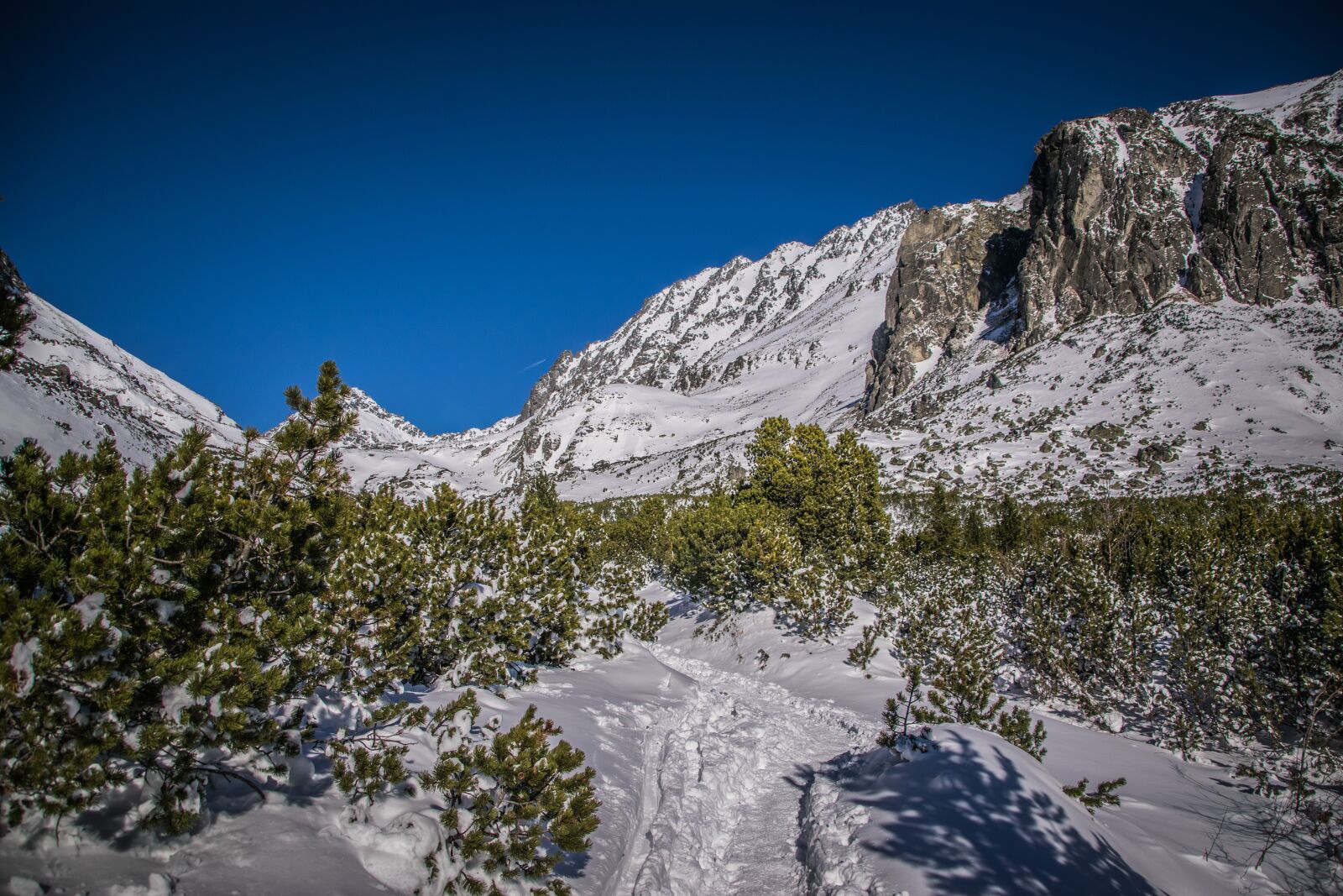 Nikon D5300 sample photo. Mountains, winter, snow photography