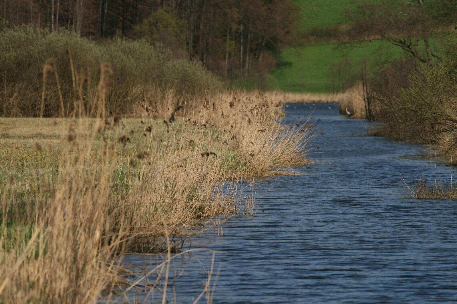 Canon EOS 400D (EOS Digital Rebel XTi / EOS Kiss Digital X) sample photo. Water, river, stream edge photography