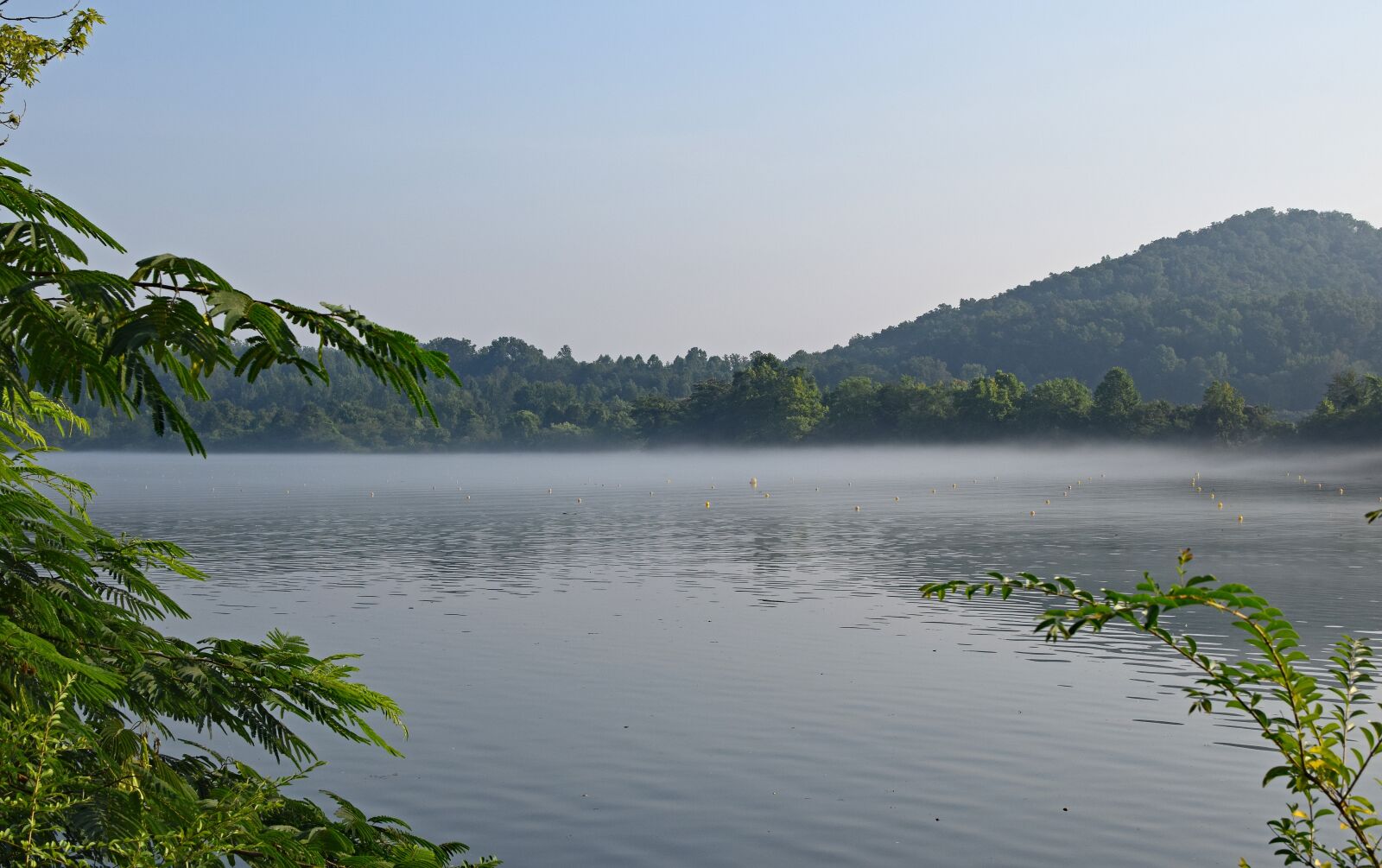 Nikon D3300 sample photo. Melton lake on foggy photography