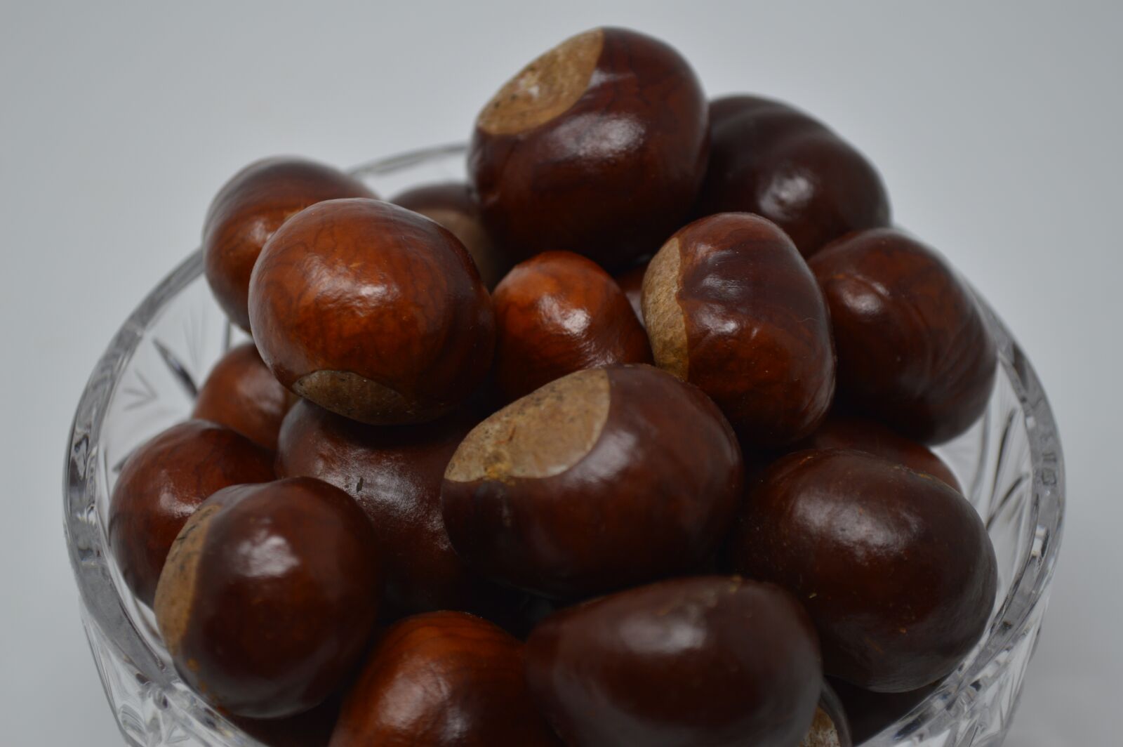 Nikon D3200 sample photo. Conker, conkers, horse chestnut photography