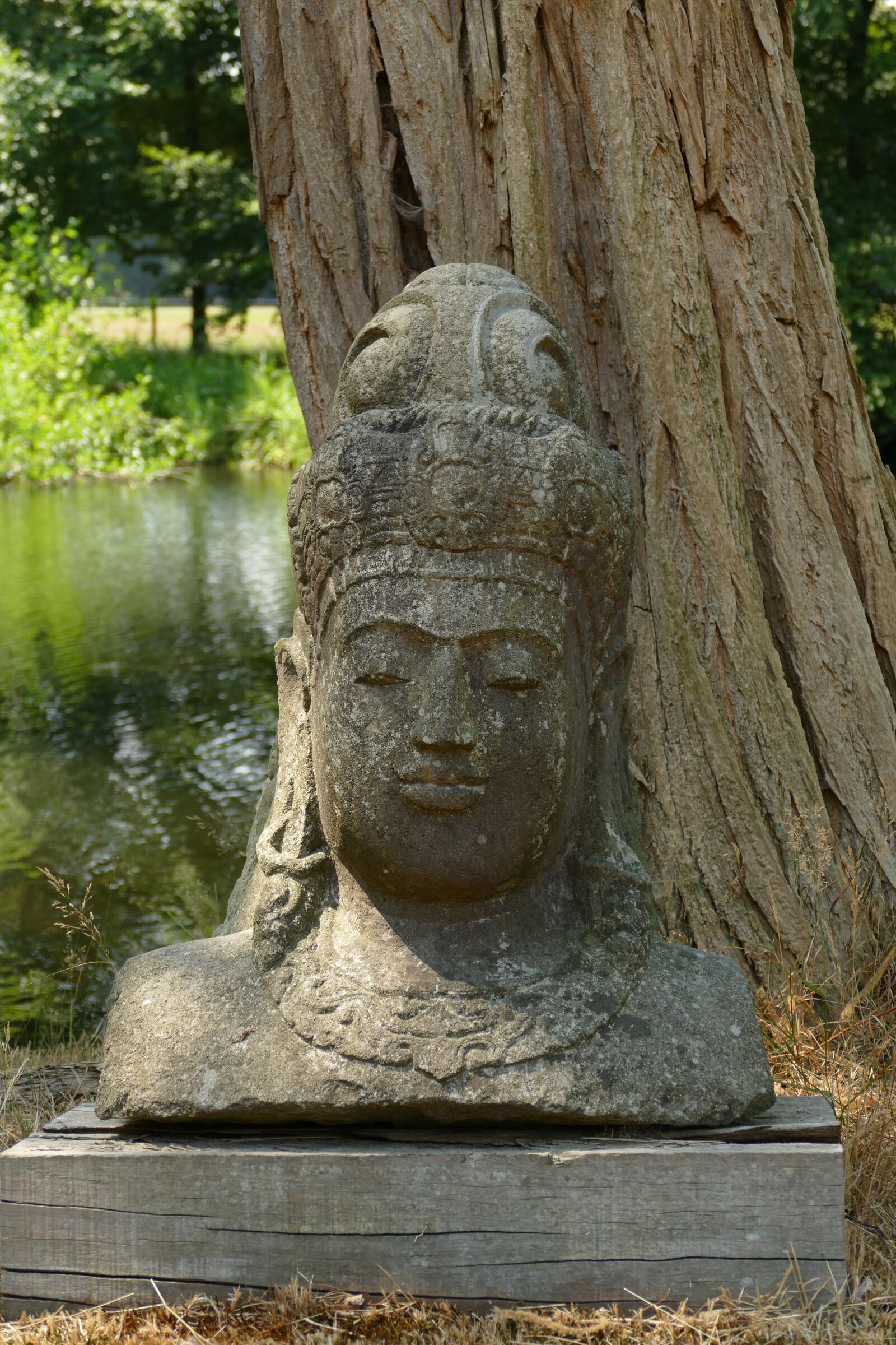 Panasonic Lumix DMC-FZ1000 sample photo. Image, sculpture, head photography