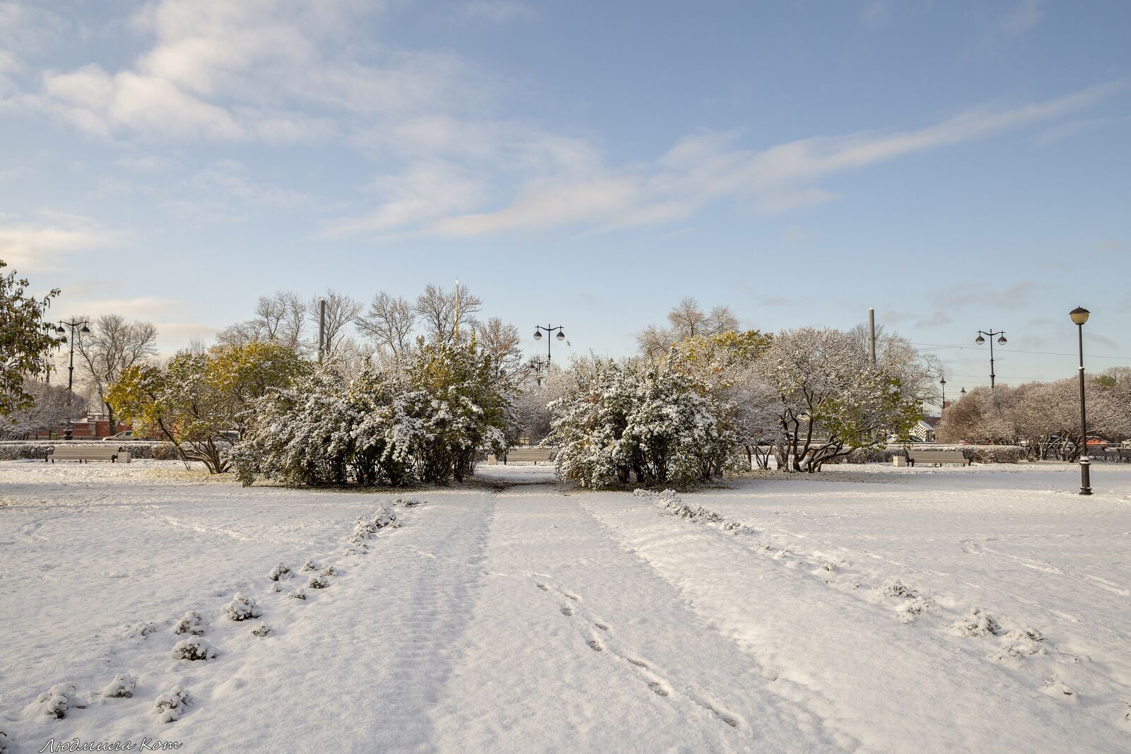 Canon EF 24-70mm F2.8L II USM sample photo. The first snow, snow photography