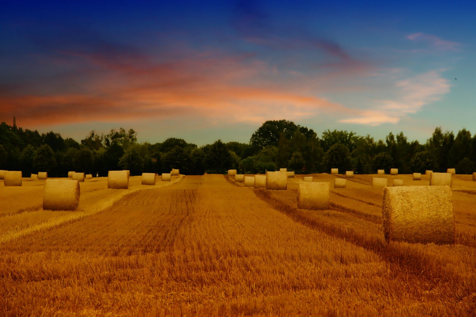 Canon EOS 600D (Rebel EOS T3i / EOS Kiss X5) sample photo. Field, arable, straw bales photography