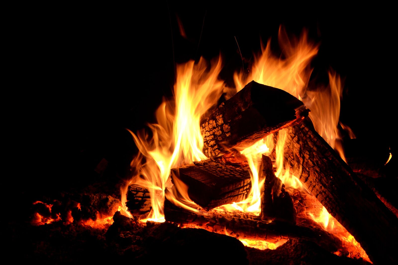 Nikon D3100 sample photo. Campfire, fire, camping photography