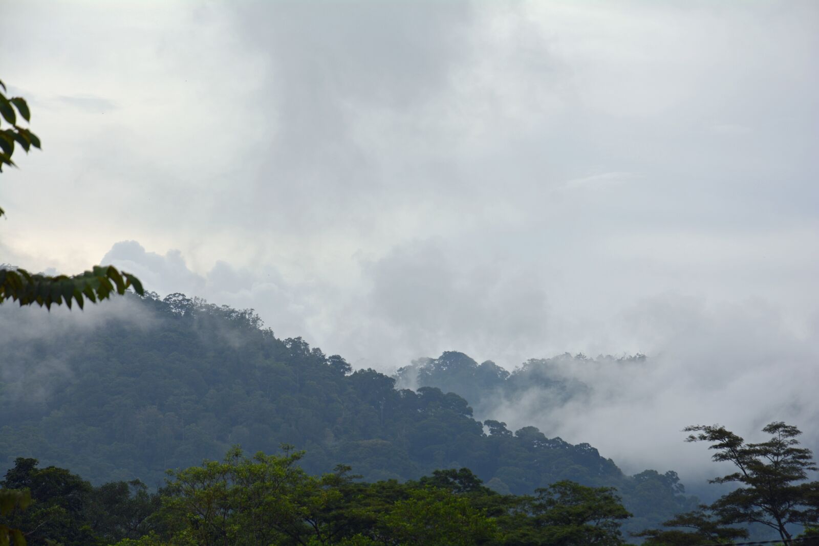 Nikon D5200 sample photo. Indonesia, sumatra, ketambe photography