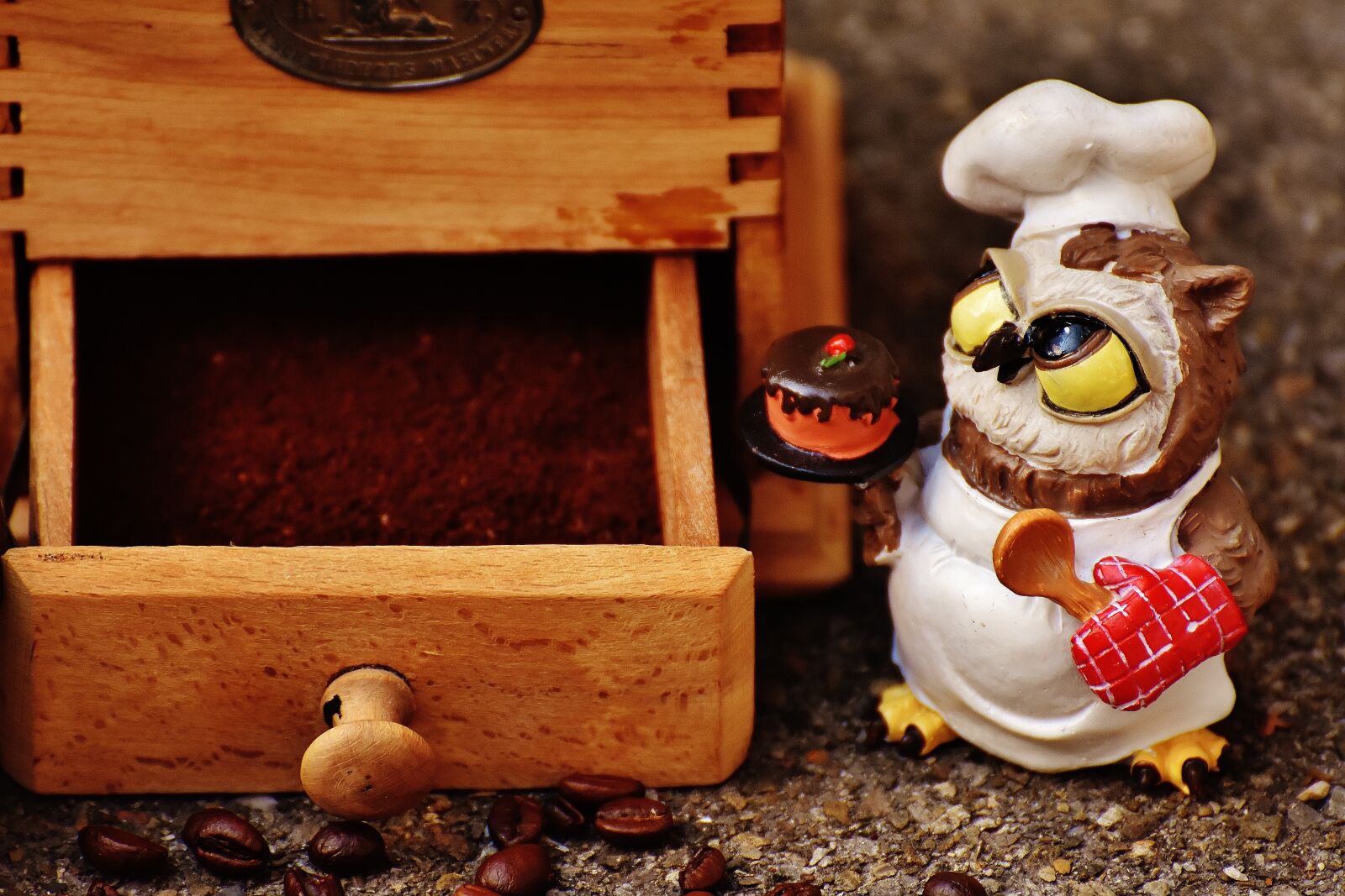 Nikon D7200 sample photo. Grinder, muffin, owl photography