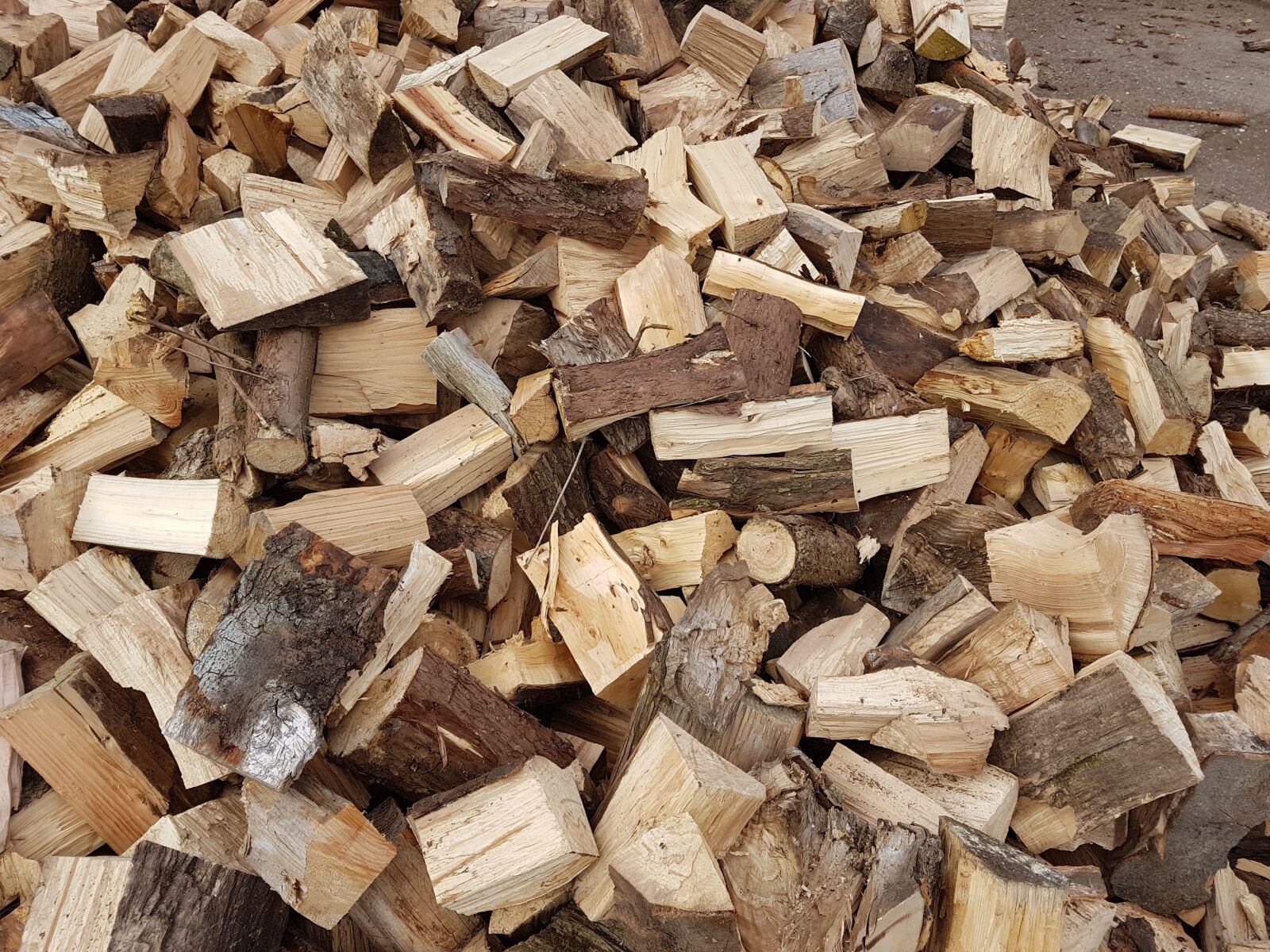 Samsung Galaxy S7 Edge sample photo. Woodpile, logs, wood photography