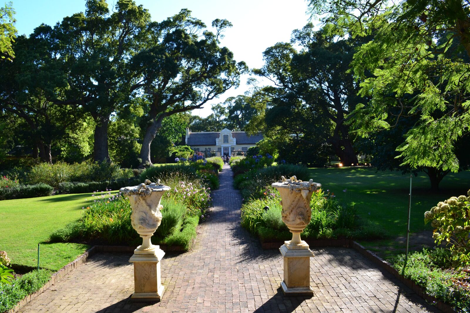 Nikon D3100 sample photo. Garden, tree, nature photography