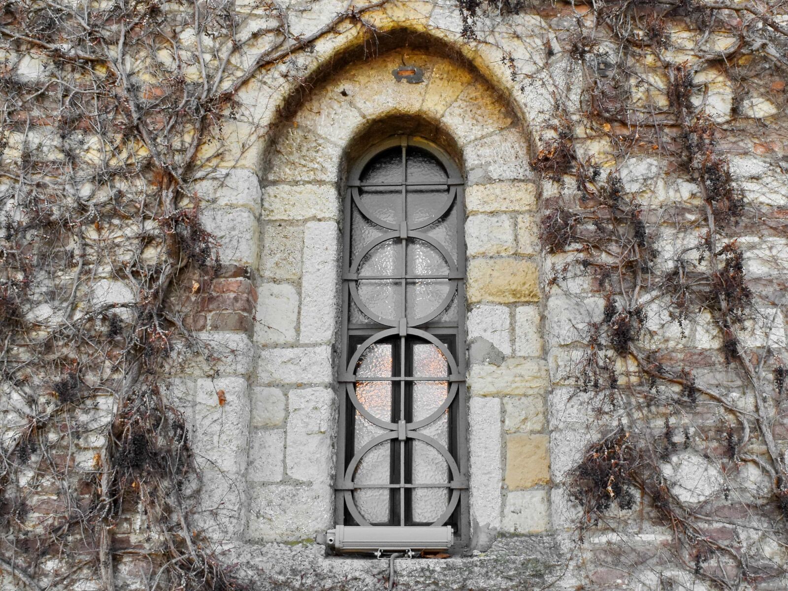 Nikon D5500 sample photo. Arch, cast iron, gothic photography