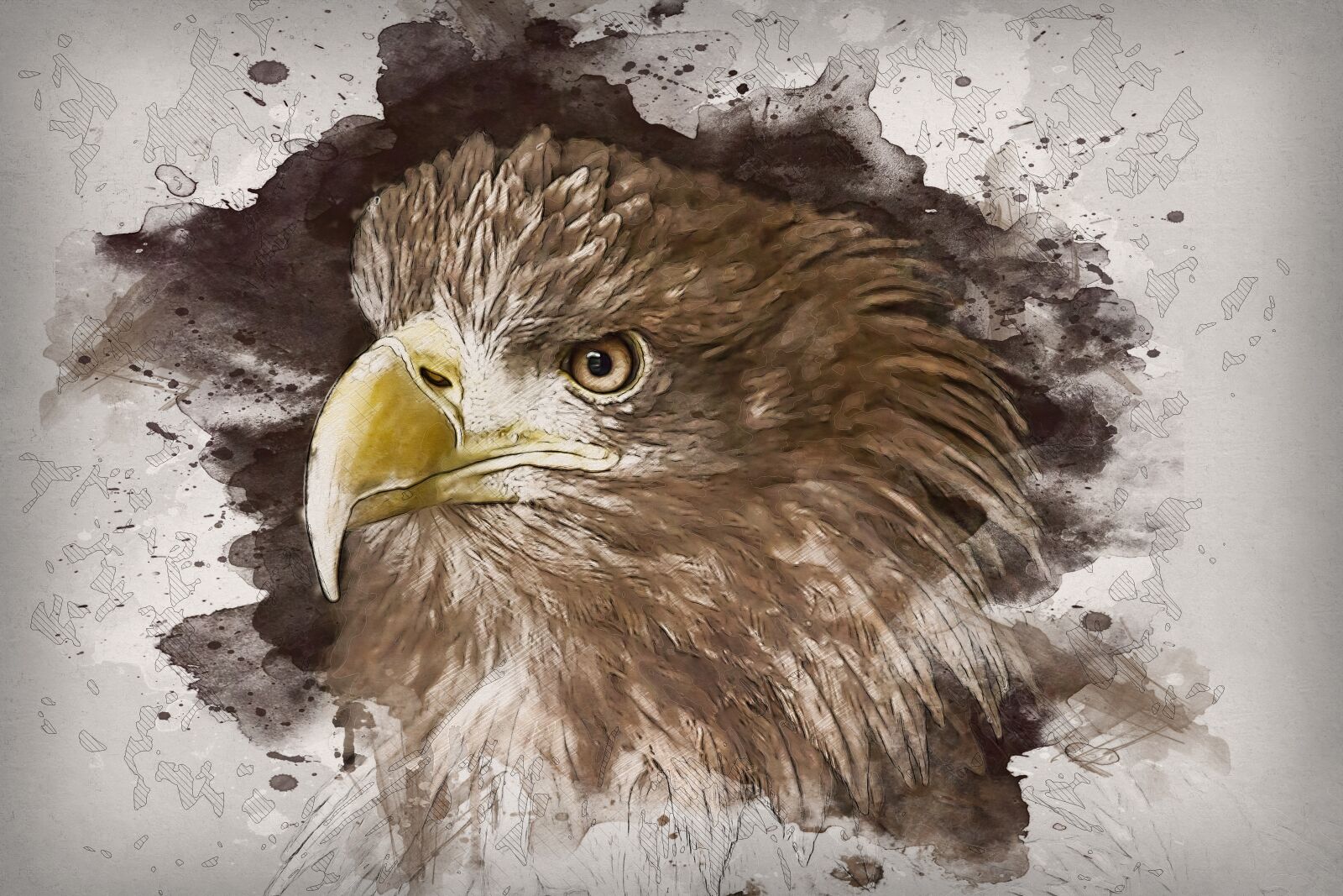Canon EOS 5D Mark III sample photo. Sea eagle, raptor, nature photography